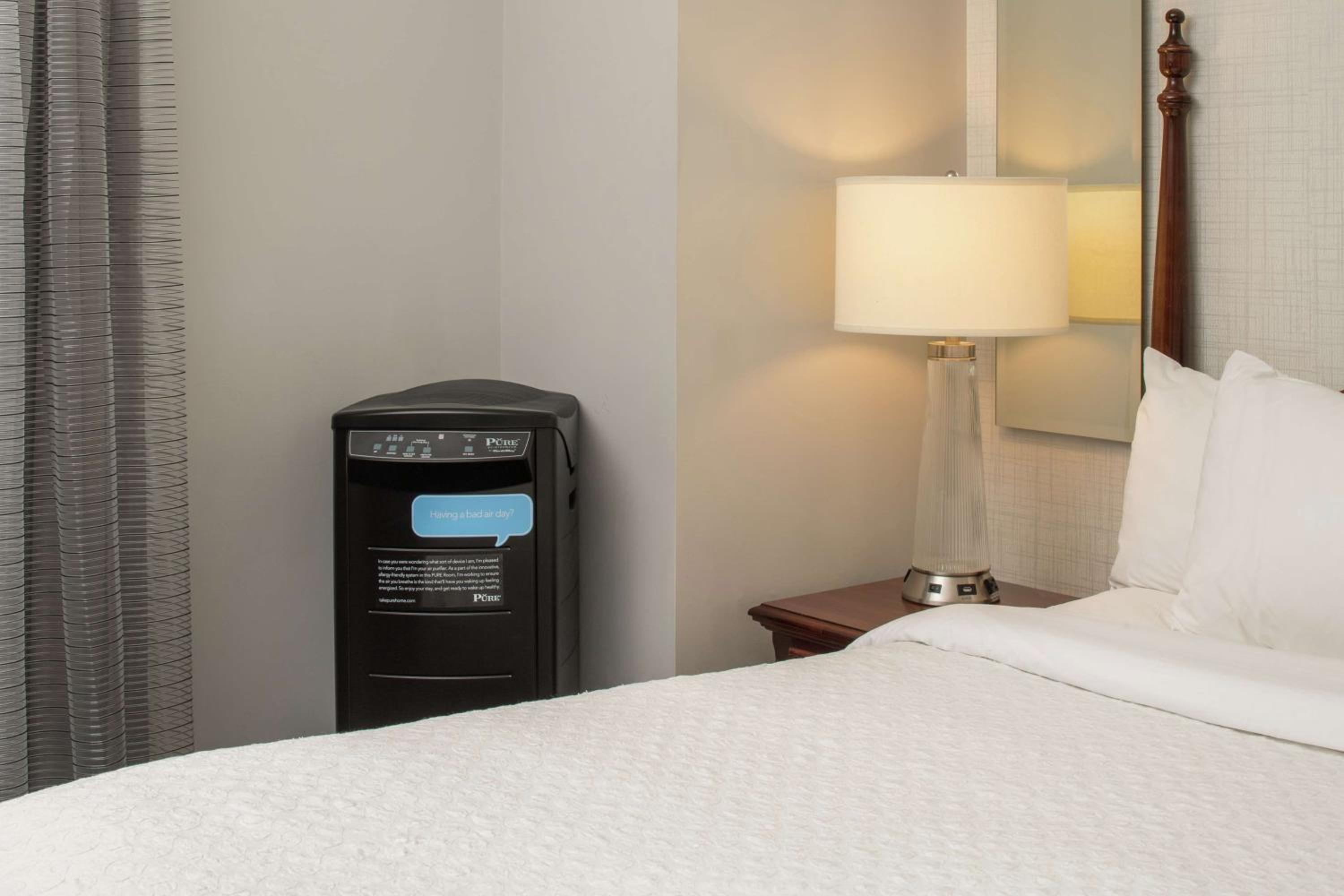 Premium King Suite - Photo 1