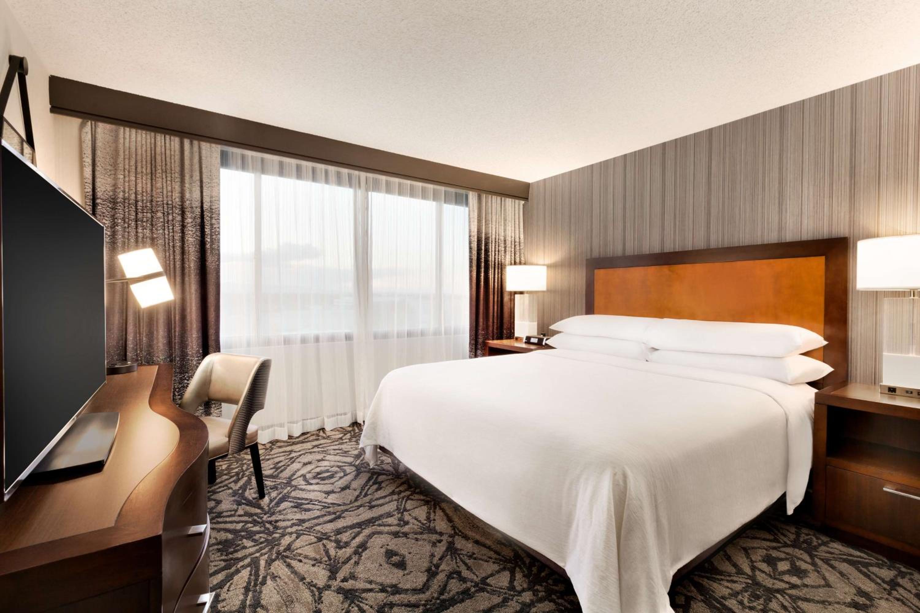 Premium King Suite - Photo 1