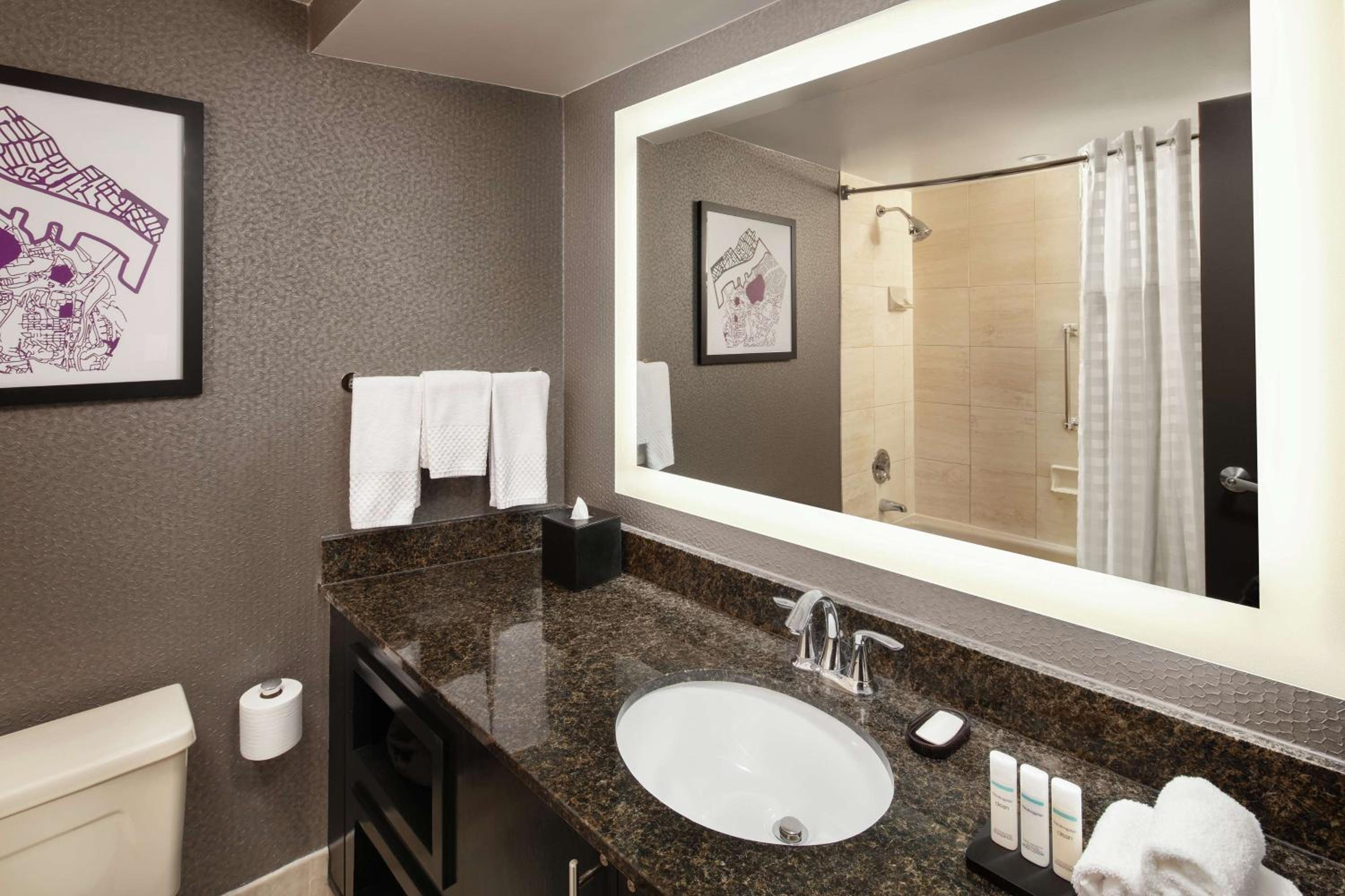 King Suite - Photo 3