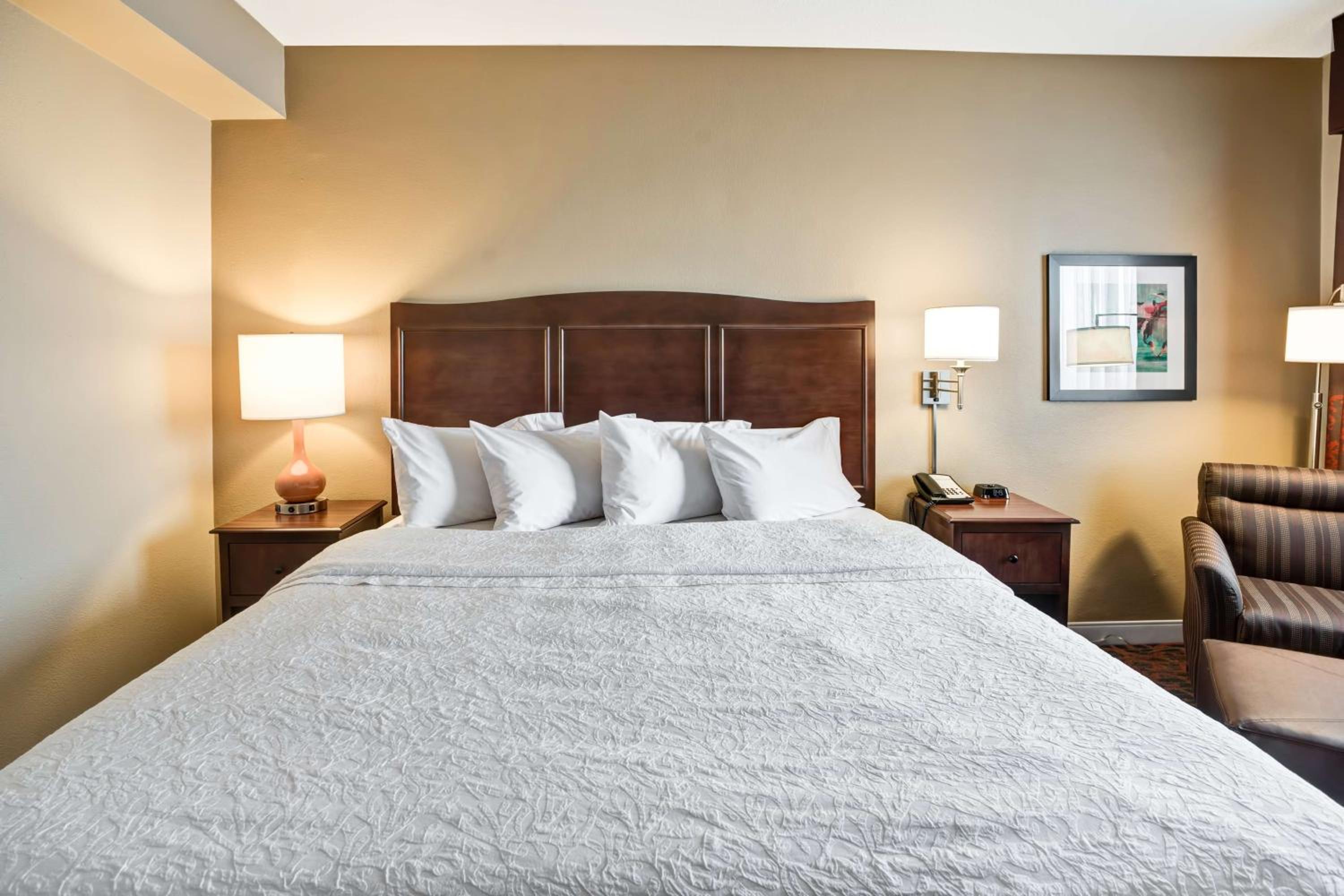 One-Bedroom King Suite with Sofa Bed - Non-Smoking - Photo 5