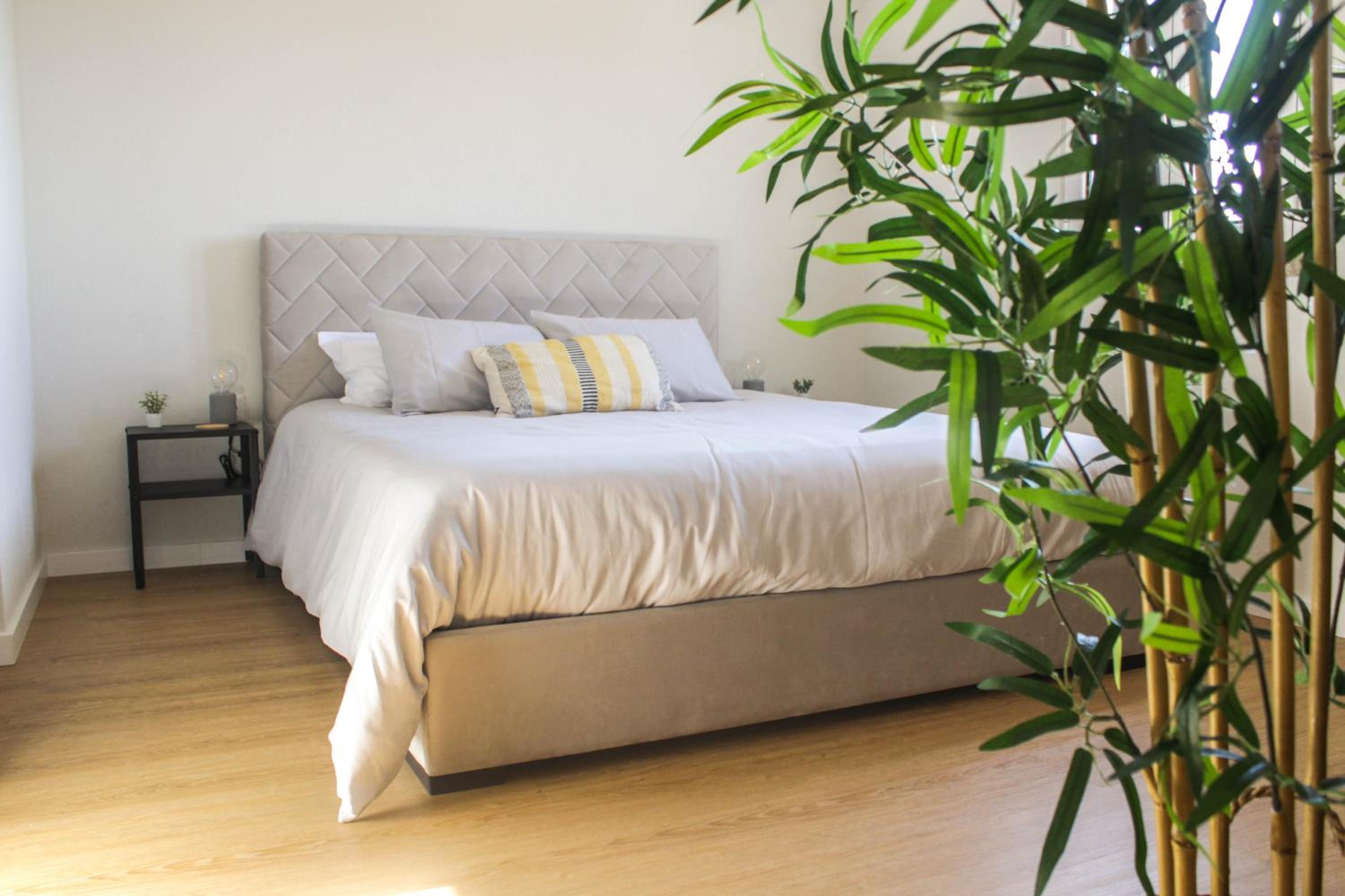 One-Bedroom House photo 2