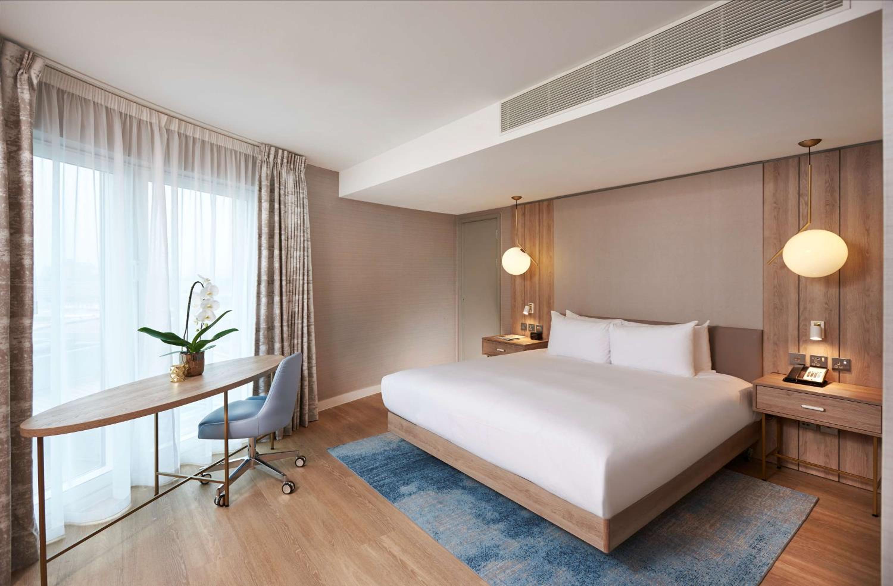 Deluxe One-Bedroom King Suite with View