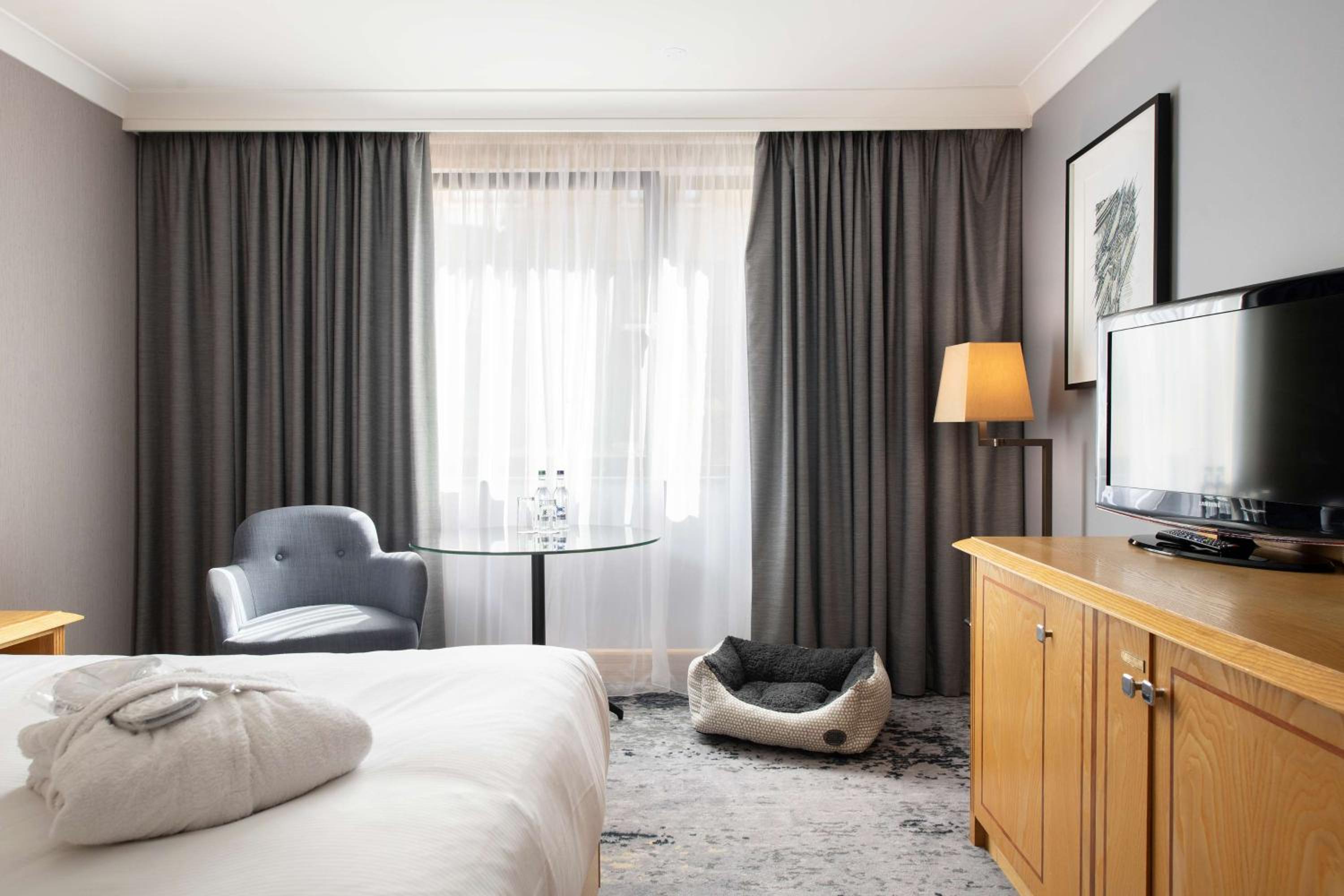Deluxe Queen Room - Photo 1
