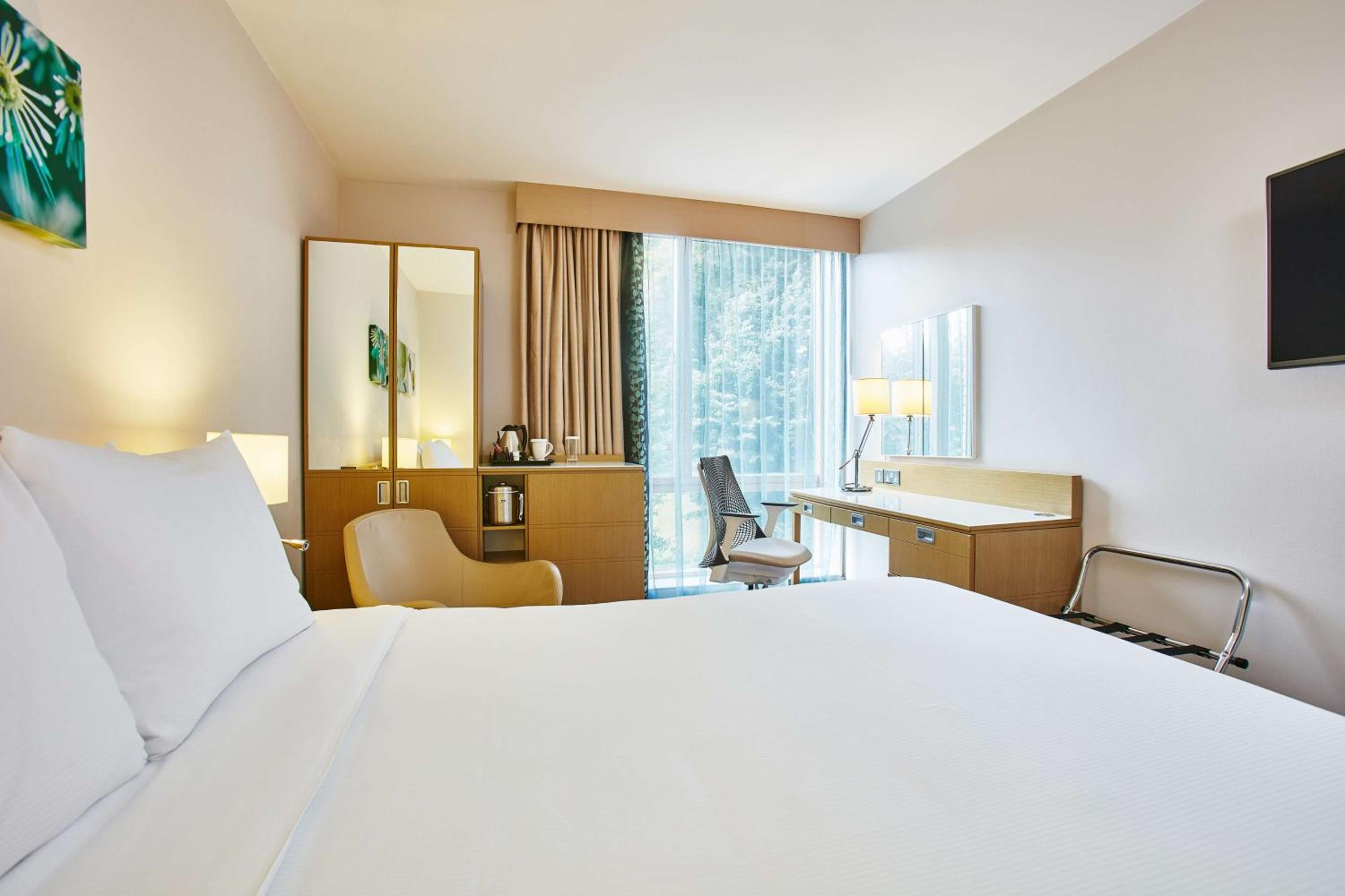 King Room photo 1