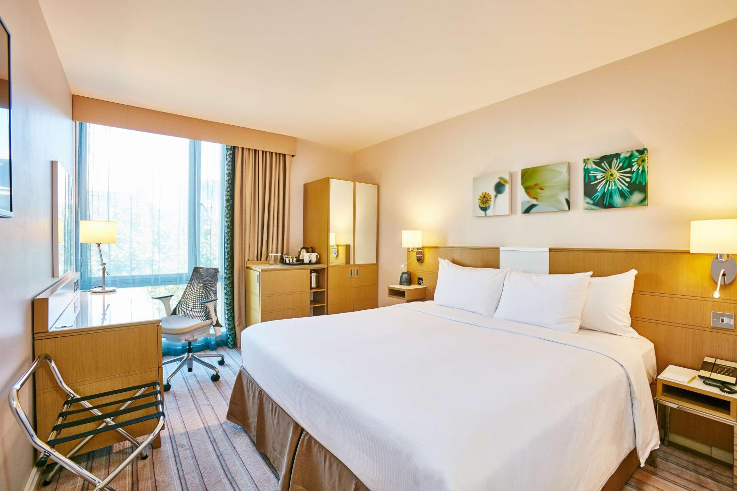 King Room photo 2