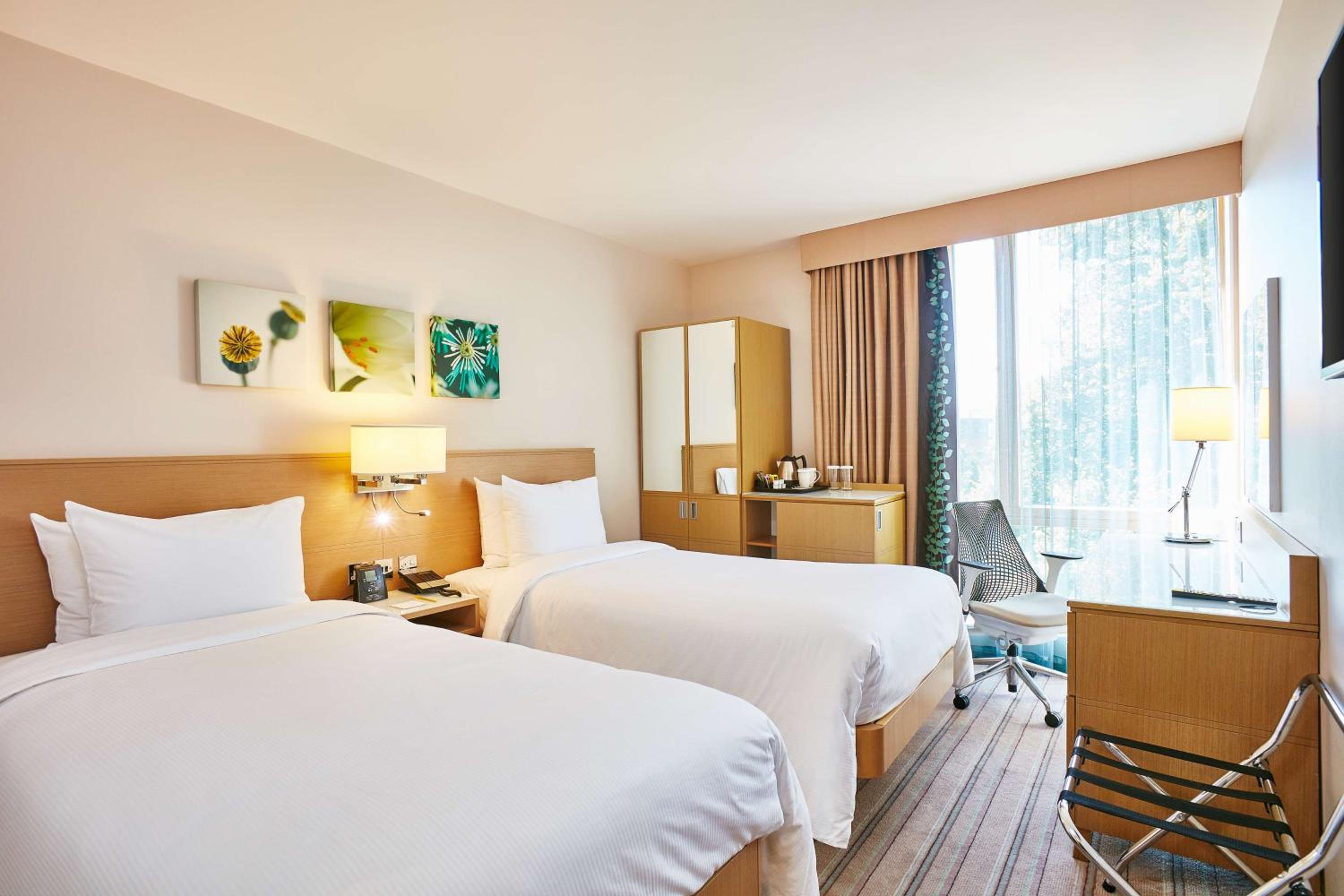 Twin Room photo 1