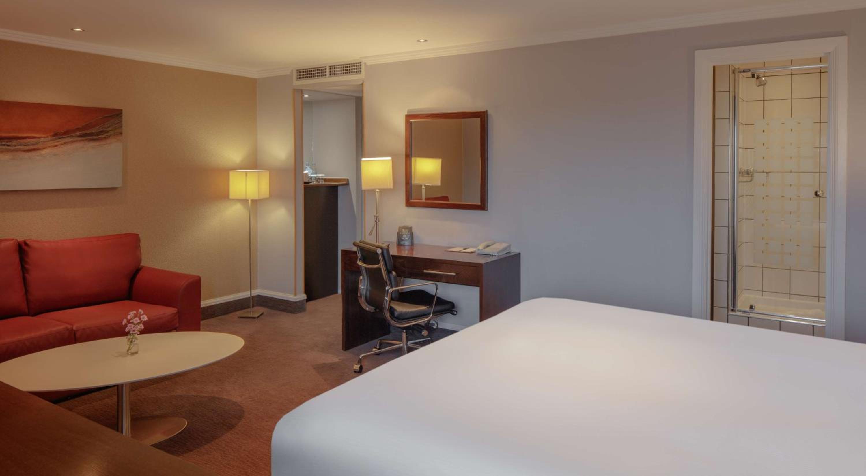 Deluxe King Room - Photo 3