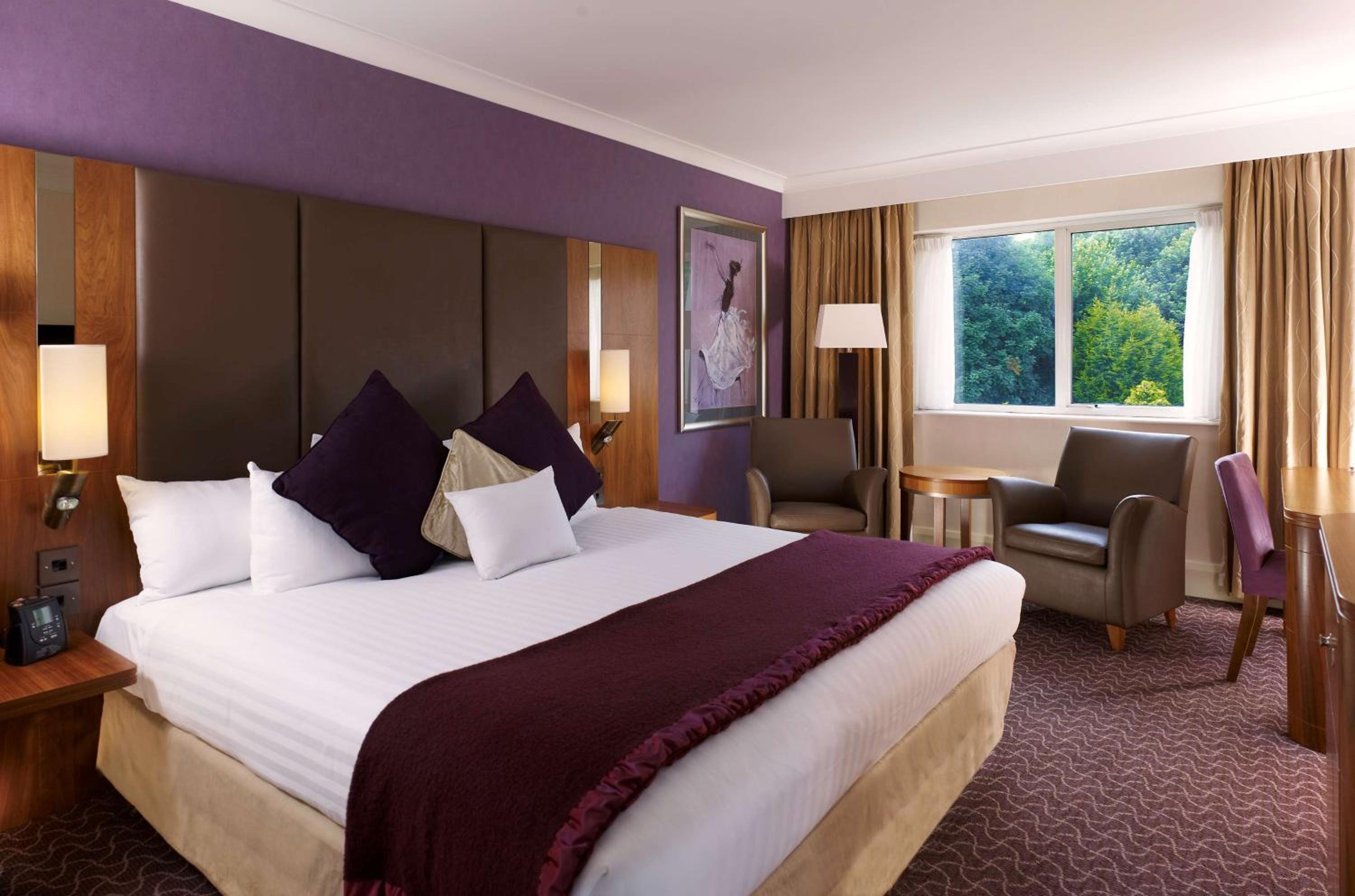 King Room photo 1