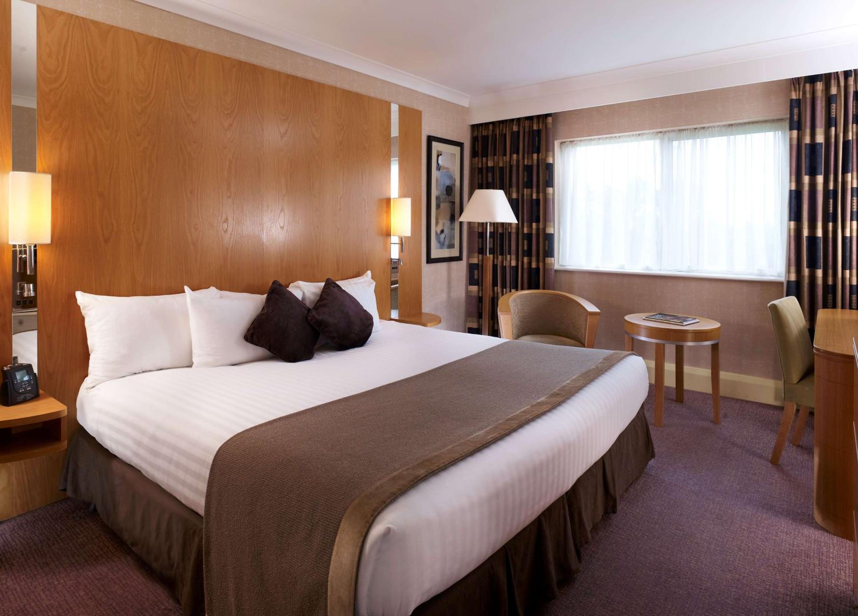 King Room photo 3
