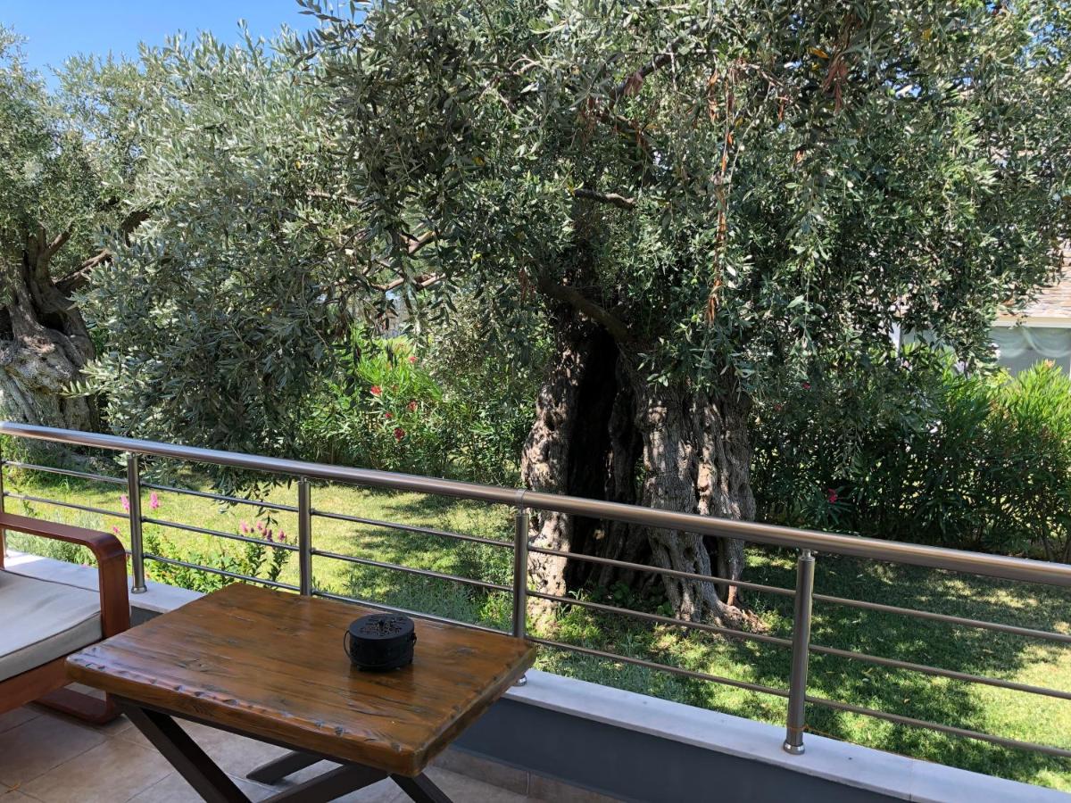 Villa with Garden View photo 3