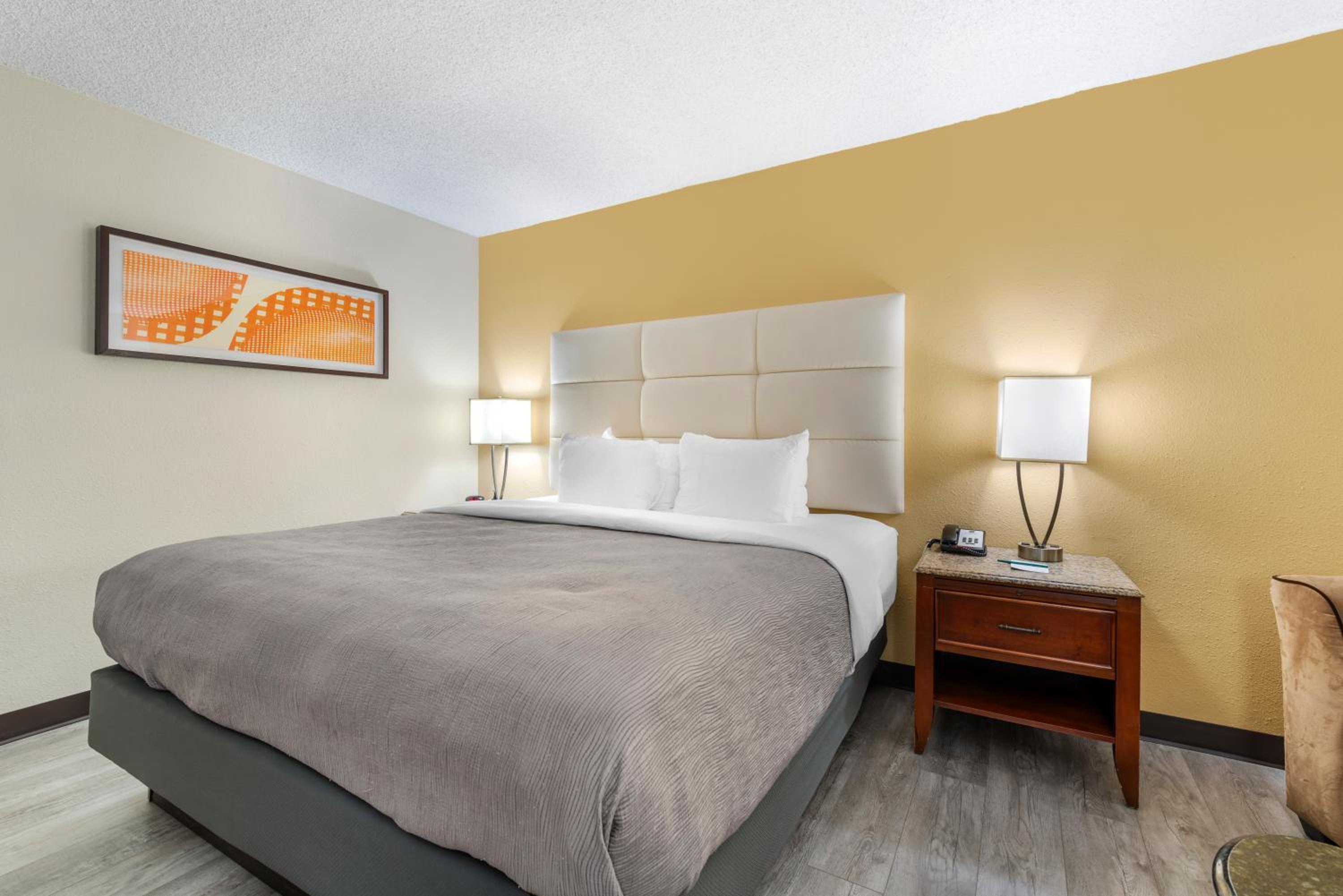 King Room - Non-Smoking/Pet Friendly - Photo 1