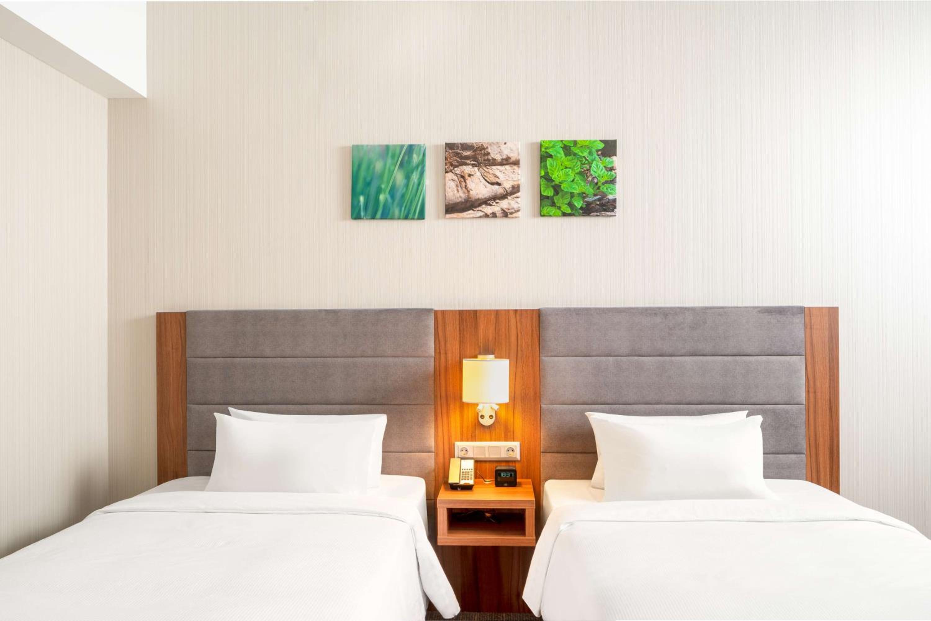 Twin Room photo 3