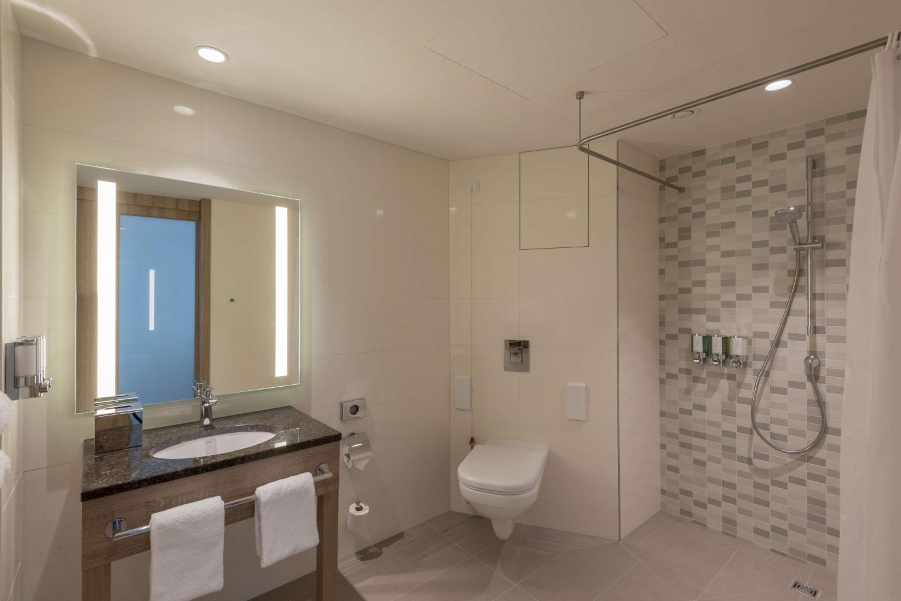 Queen Accessible Room NS thumbnail 6