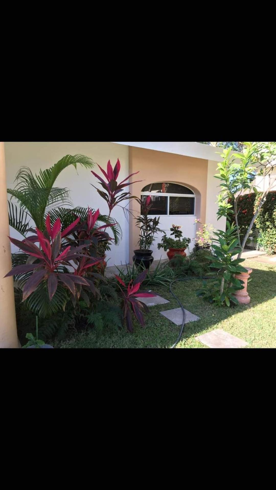 Three-Bedroom Villa photo 3