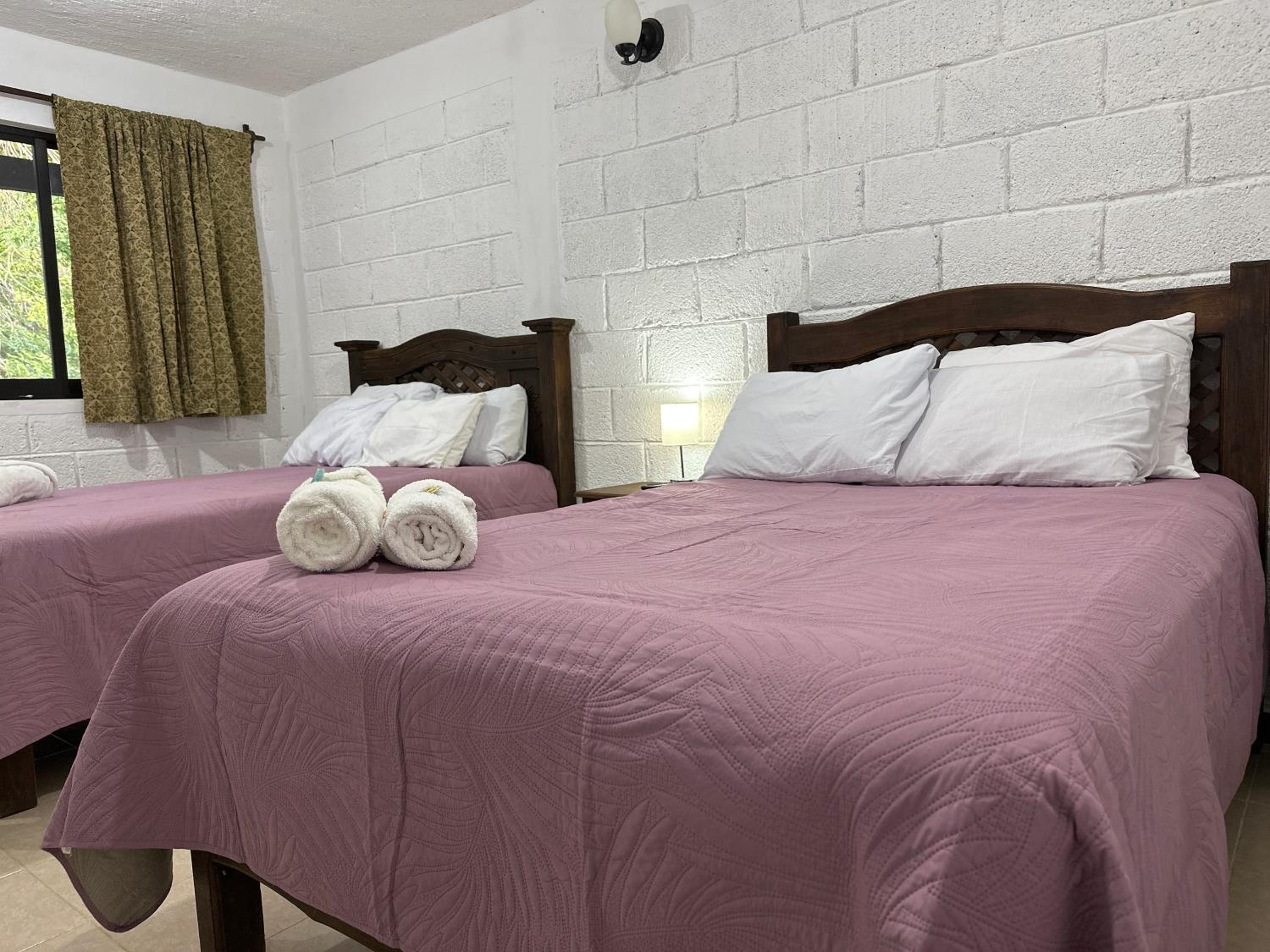 Twin Room - Photo 4