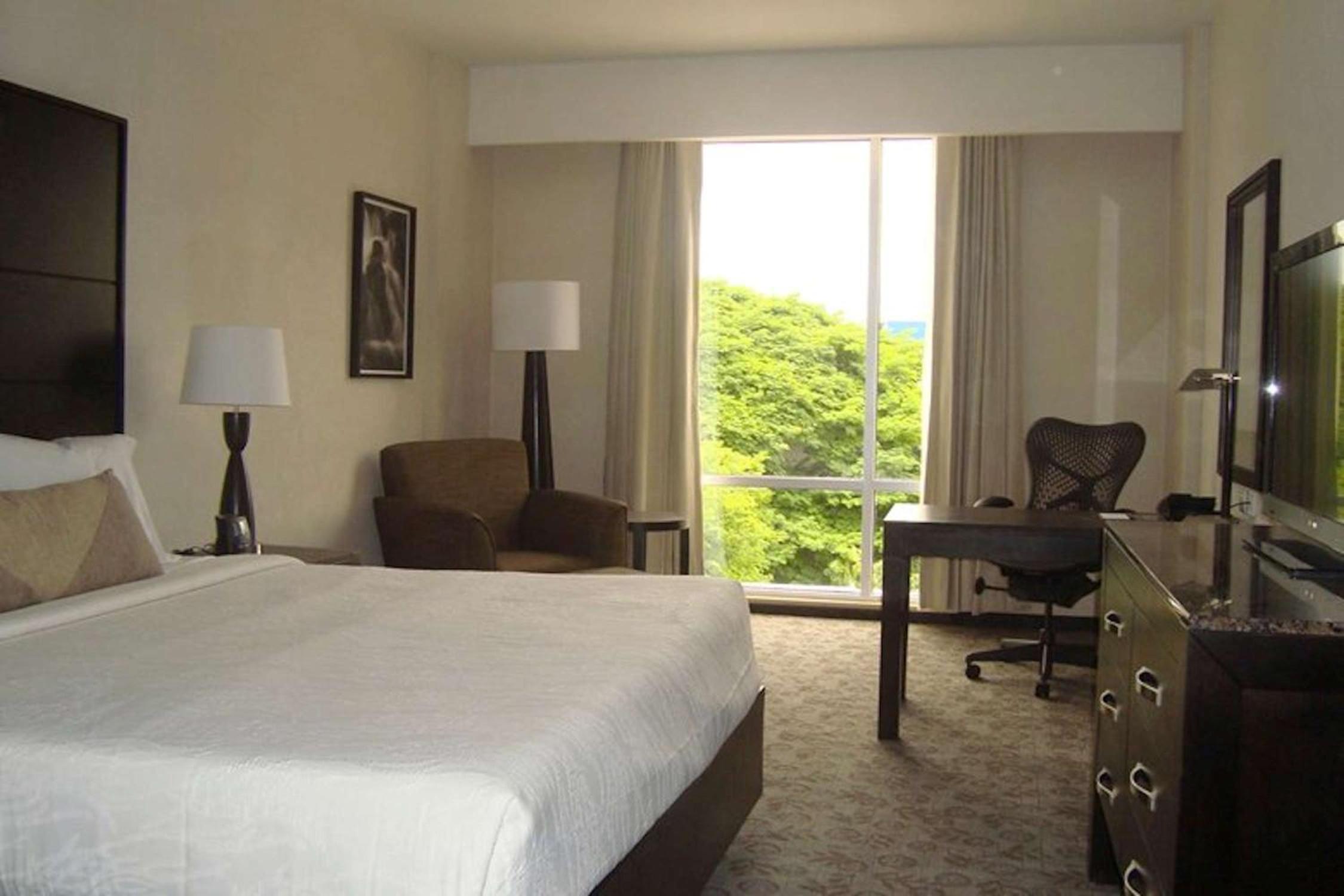 King Room - Photo 2