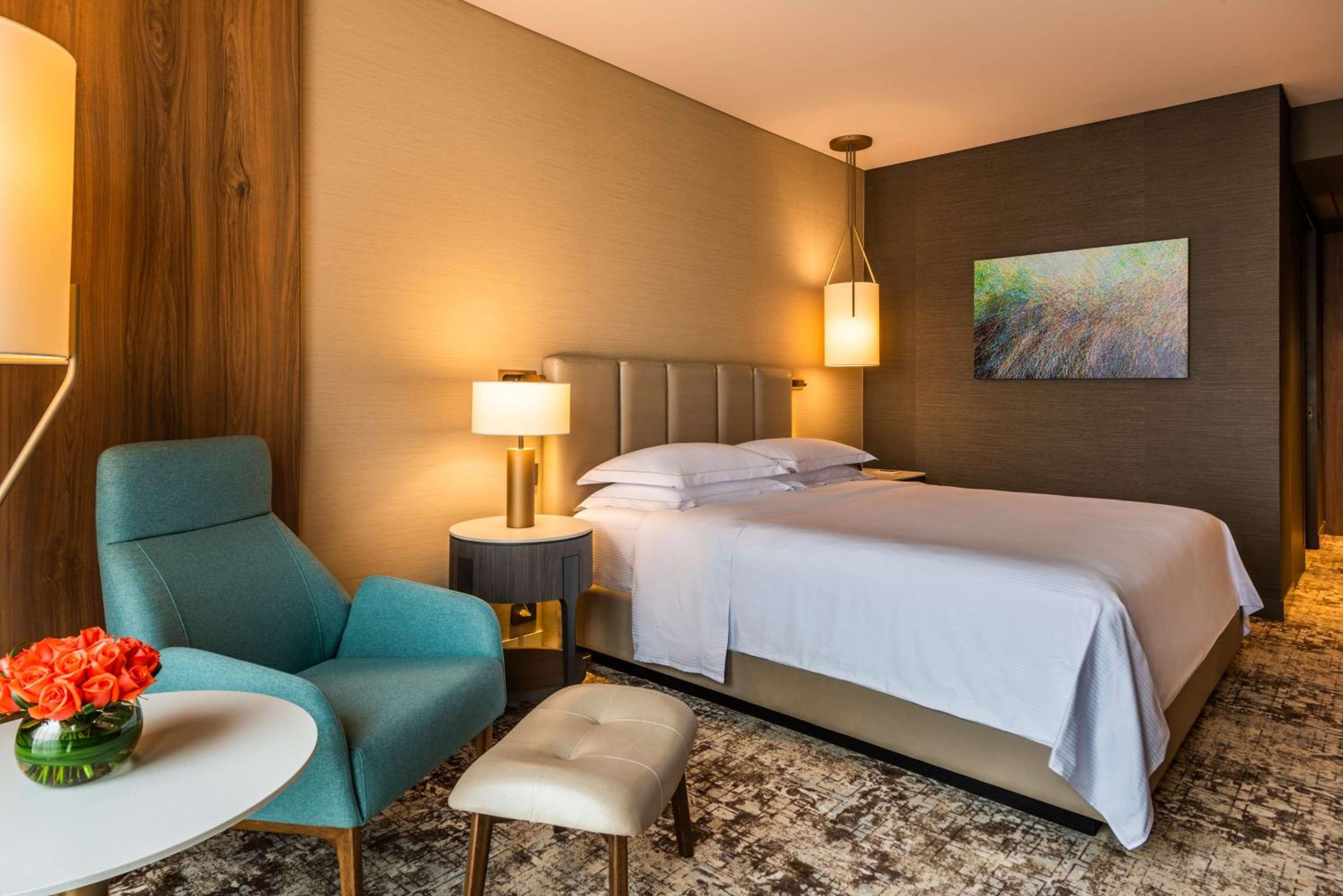 King Room with Roll-In Shower - Mobility/Hearing Accessible photo 2