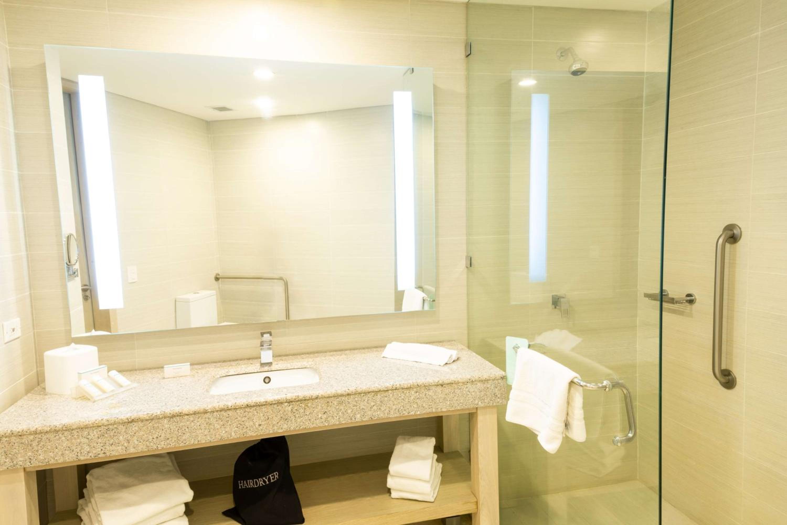 King Room with Roll-In Shower - Mobility/Hearing Accessible photo 2