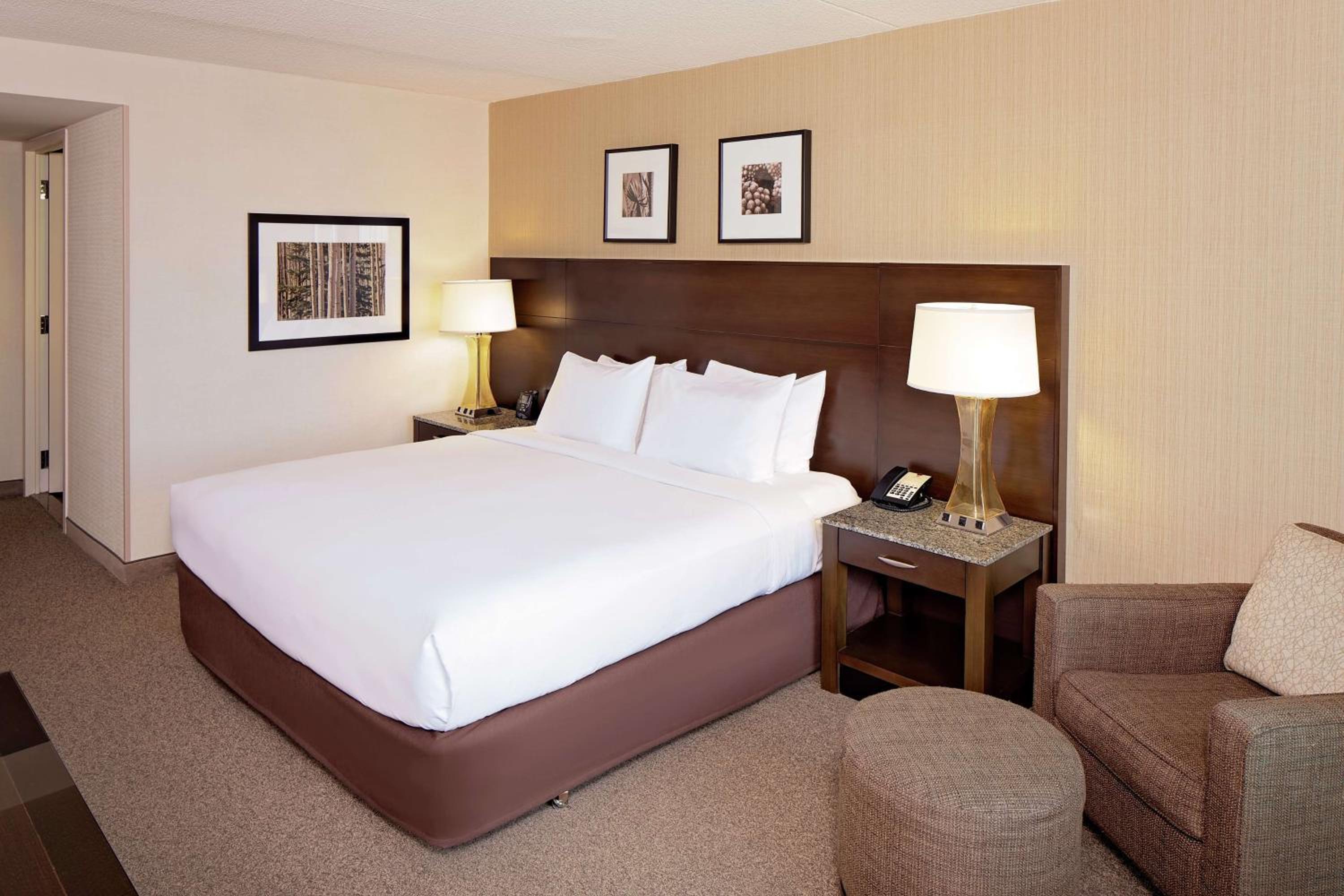 Deluxe King Room