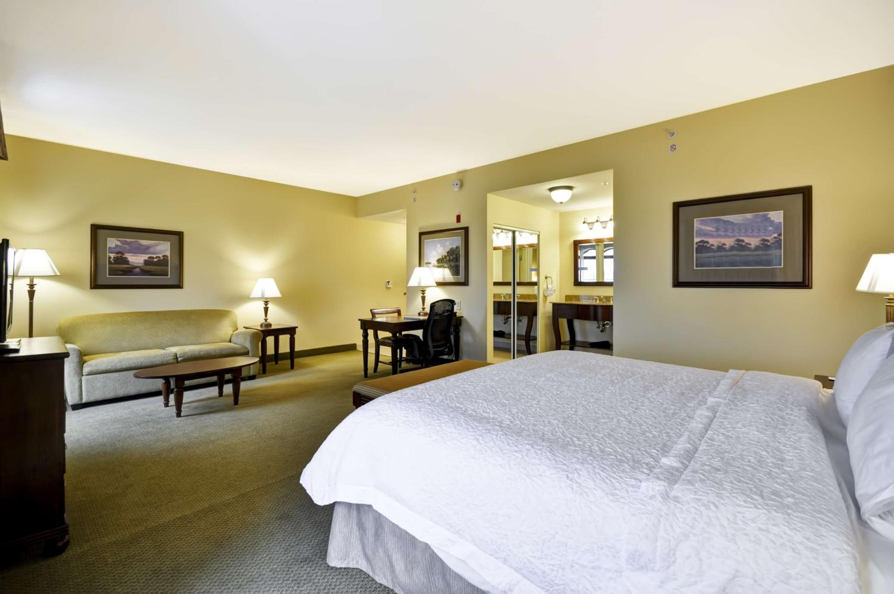 King Studio Suite with Sofa Bed - Non-Smoking - Photo 5