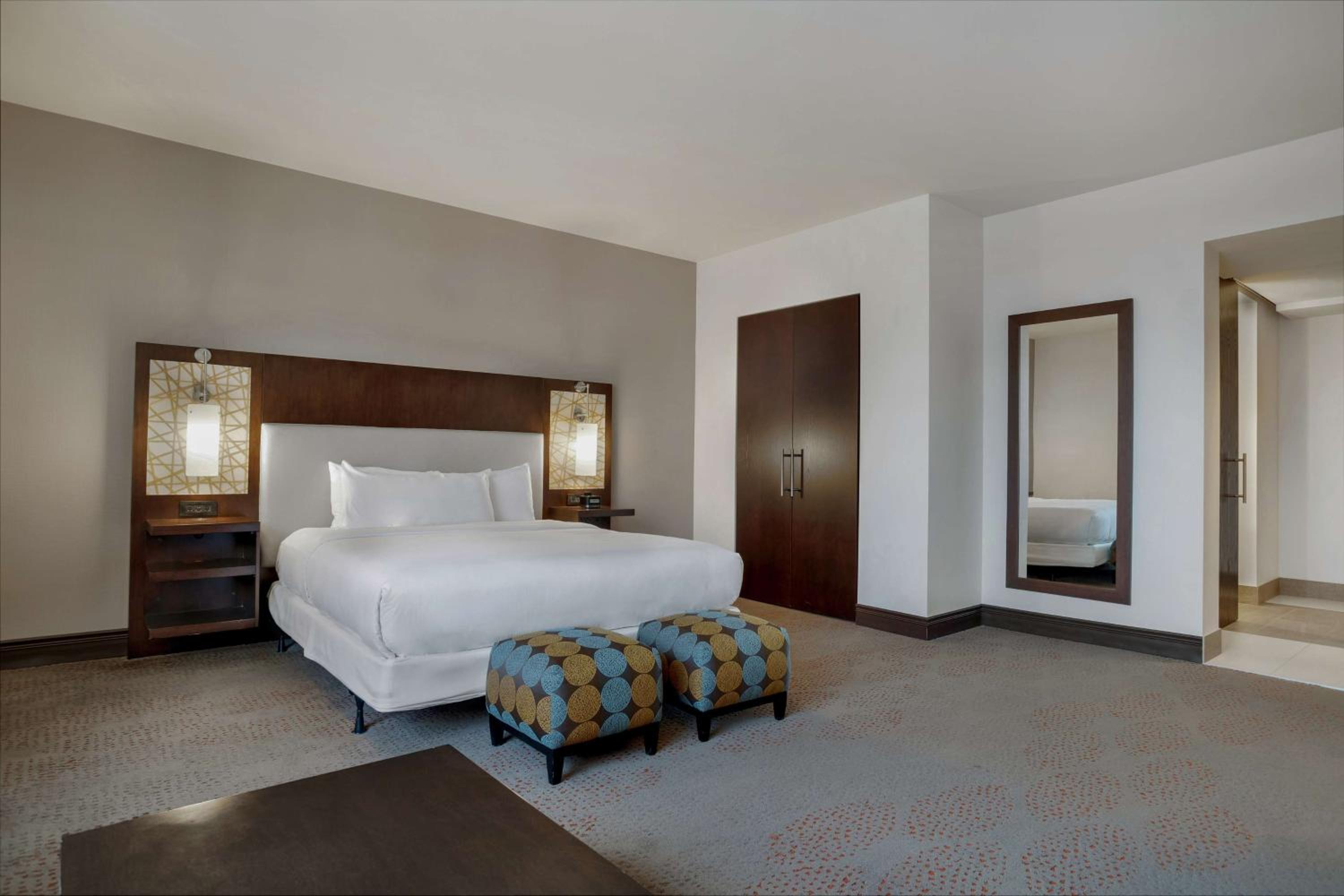 King Room with Roll-In Shower - Mobility/Hearing Accessible photo 2