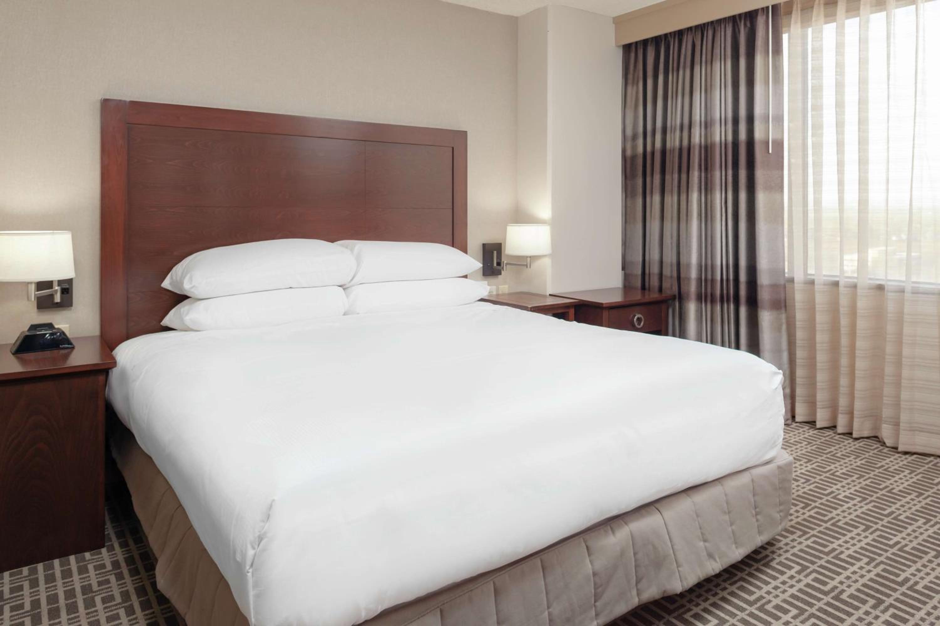 Junior King Suite with Sofa Bed photo 2