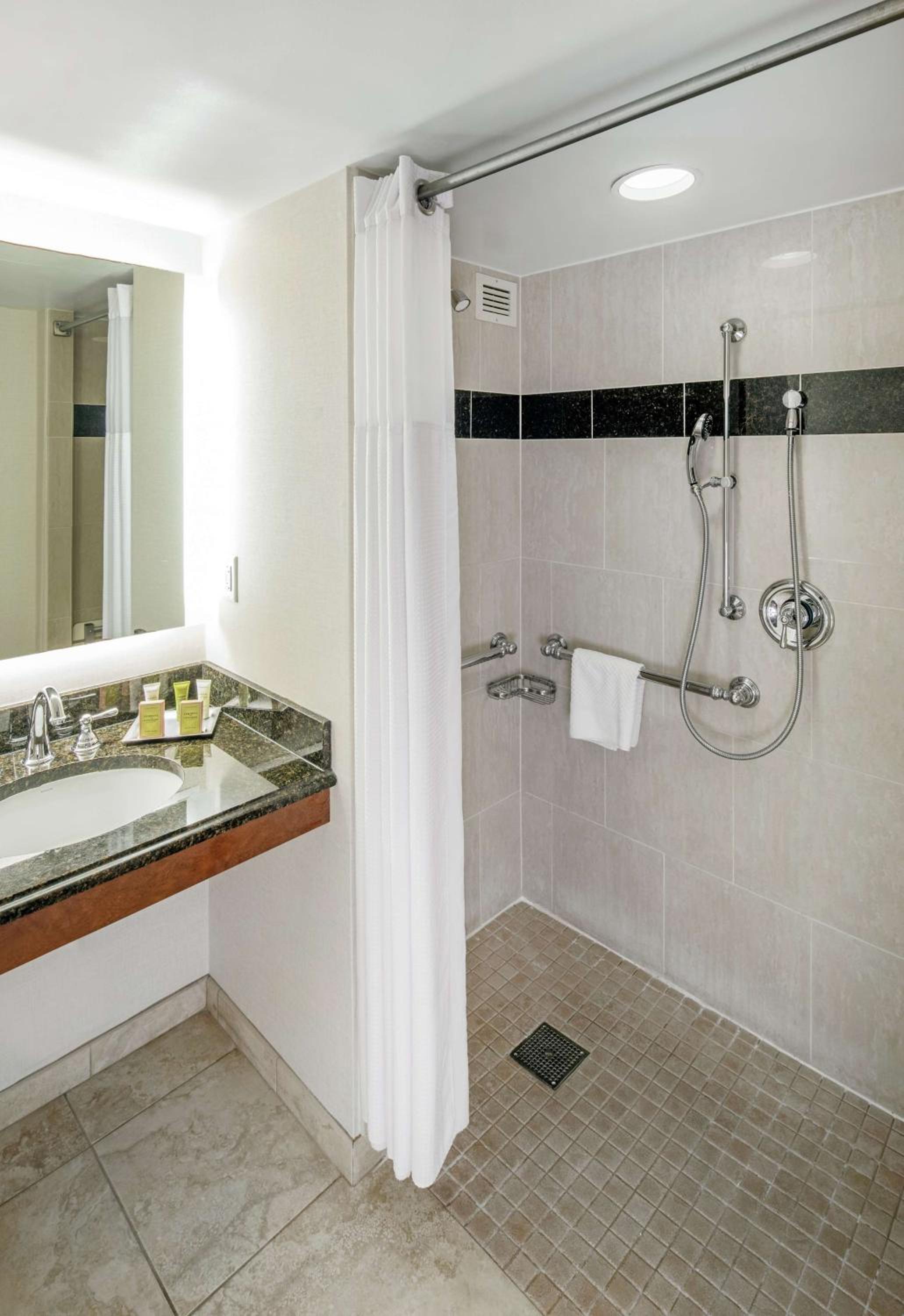 King Room with Roll-In Shower - Mobility Access - Photo 4