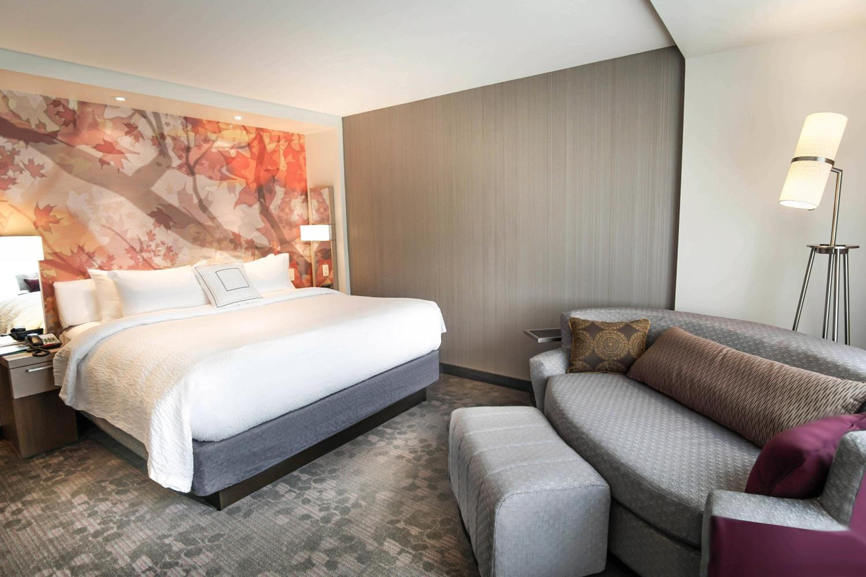 King Room with Sofa Bed - Hearing Accessible