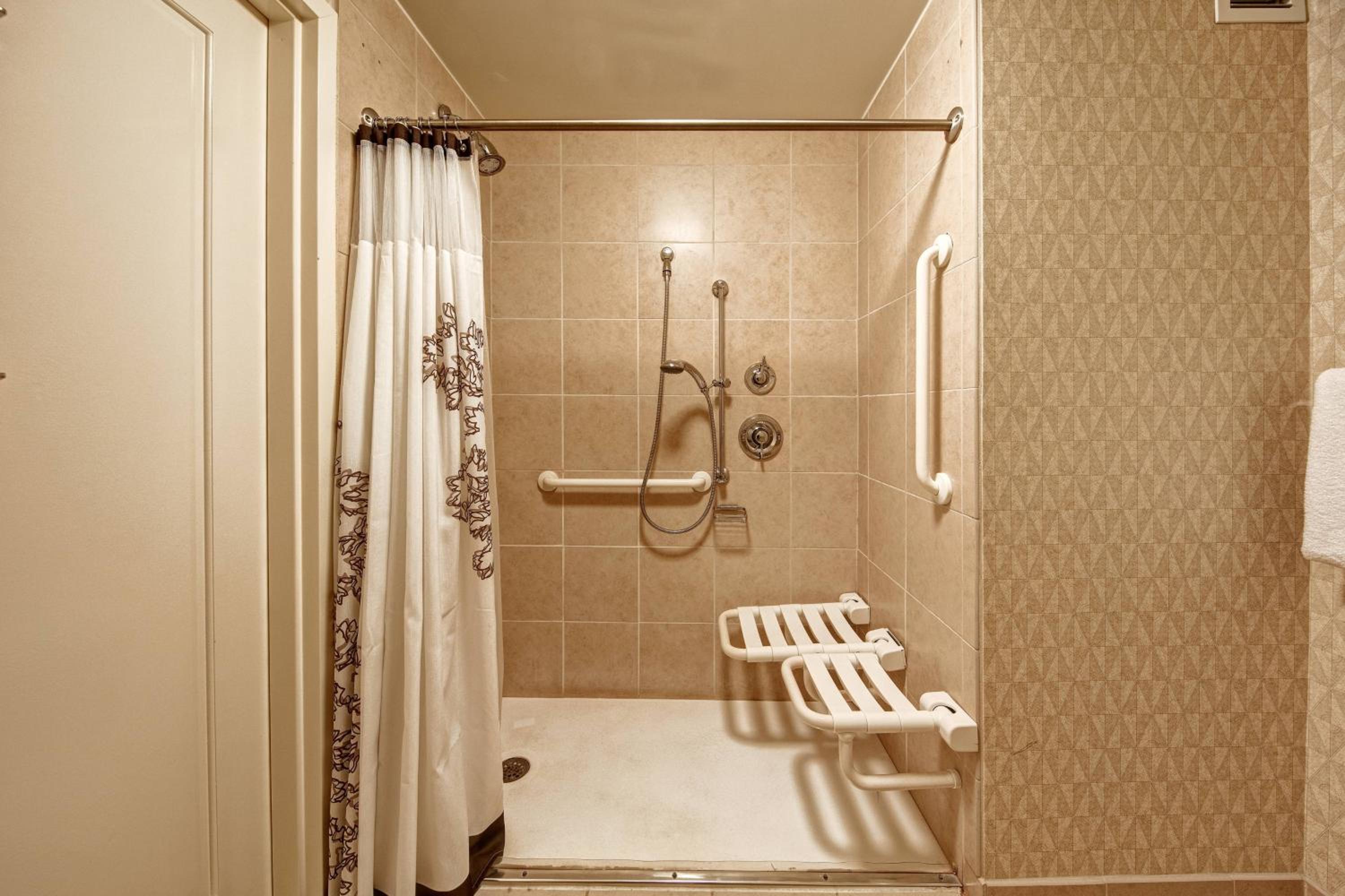 King Studio Suite with Sofa Bed and Adapted Tub - Mobility Accessible - Photo 5