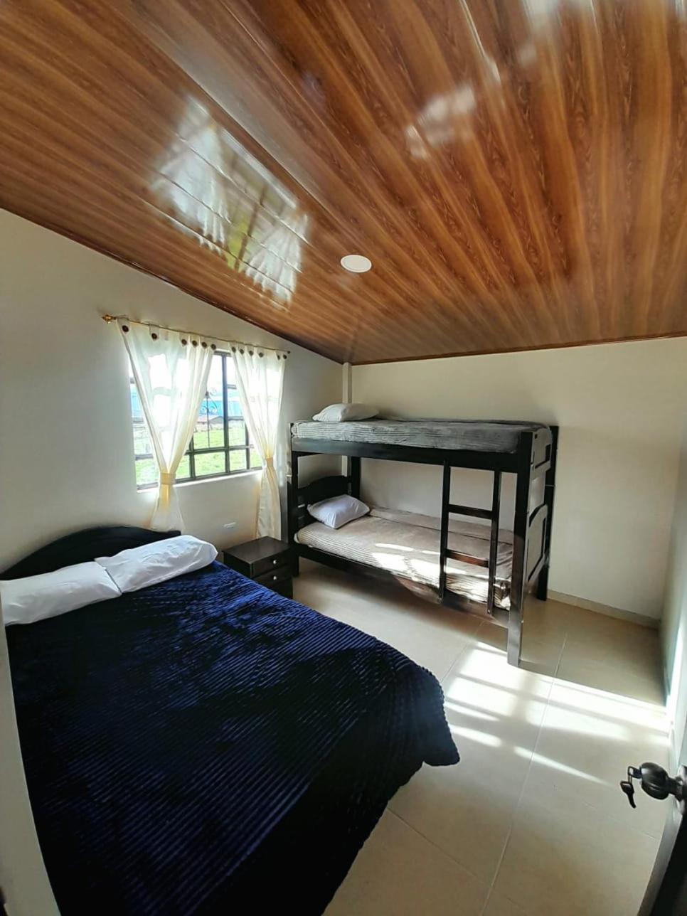 Three-Bedroom House photo 1