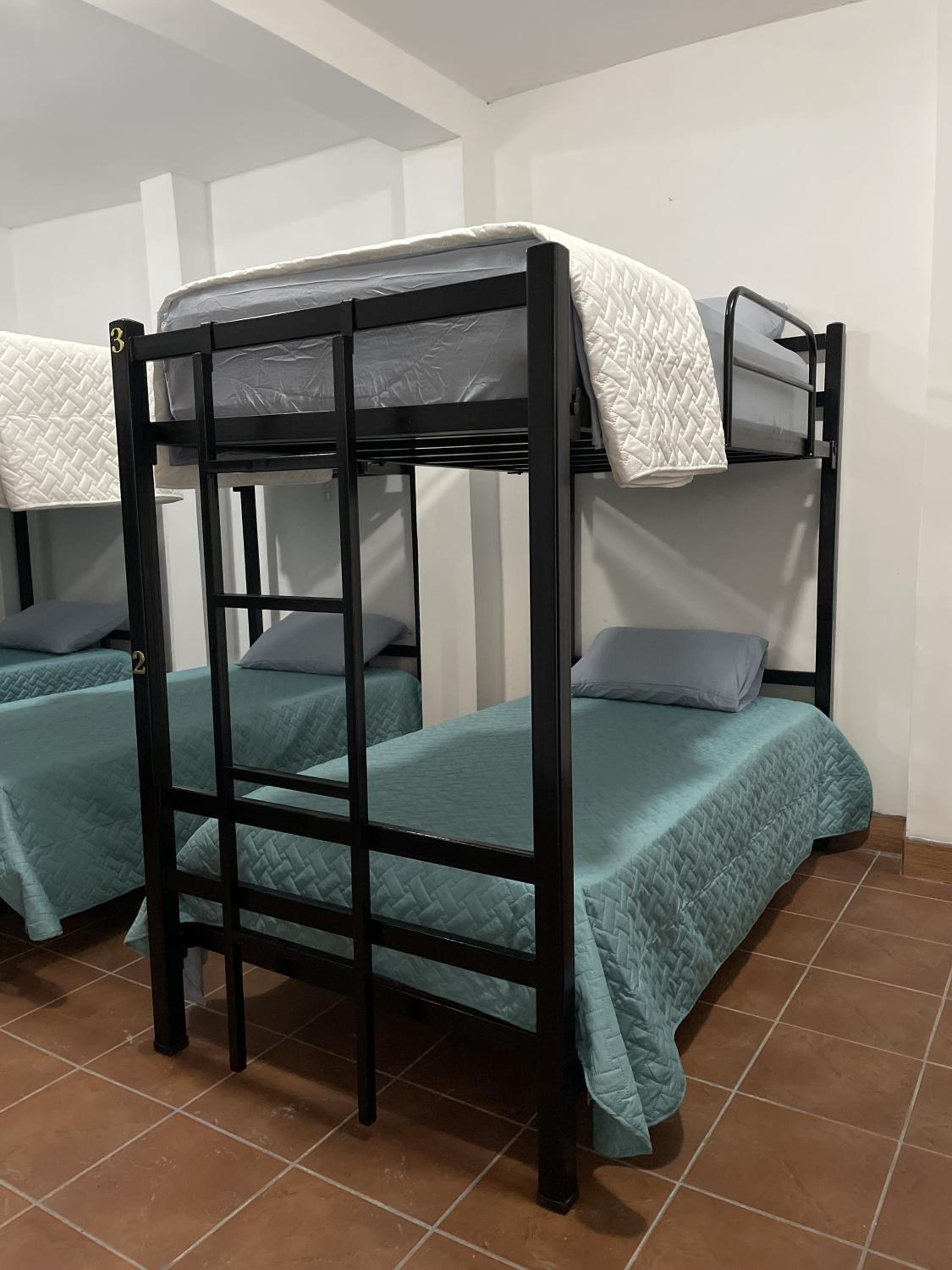 Bunk Bed in Mixed Dormitory Room photo 1