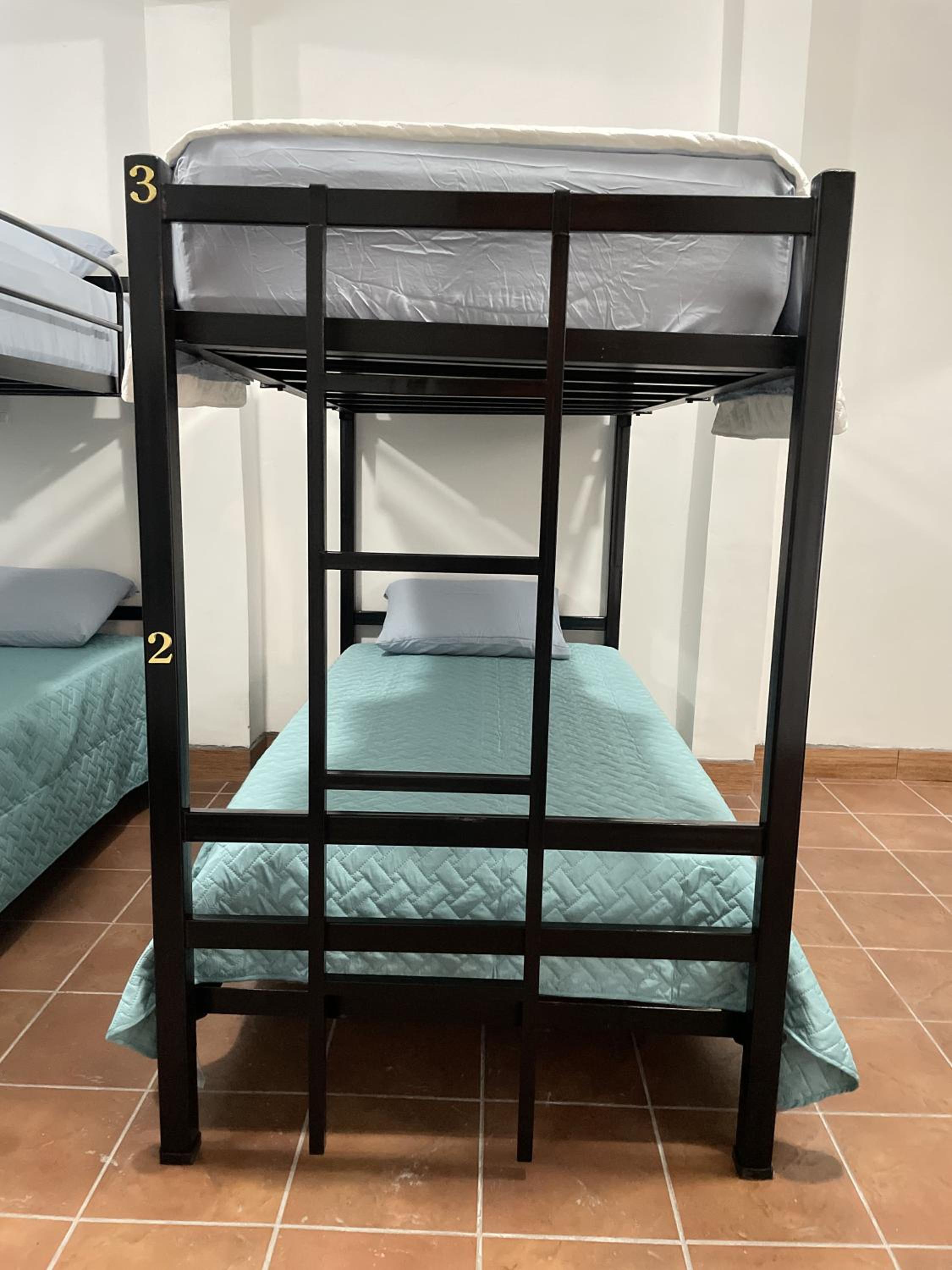 Bunk Bed in Mixed Dormitory Room photo 2