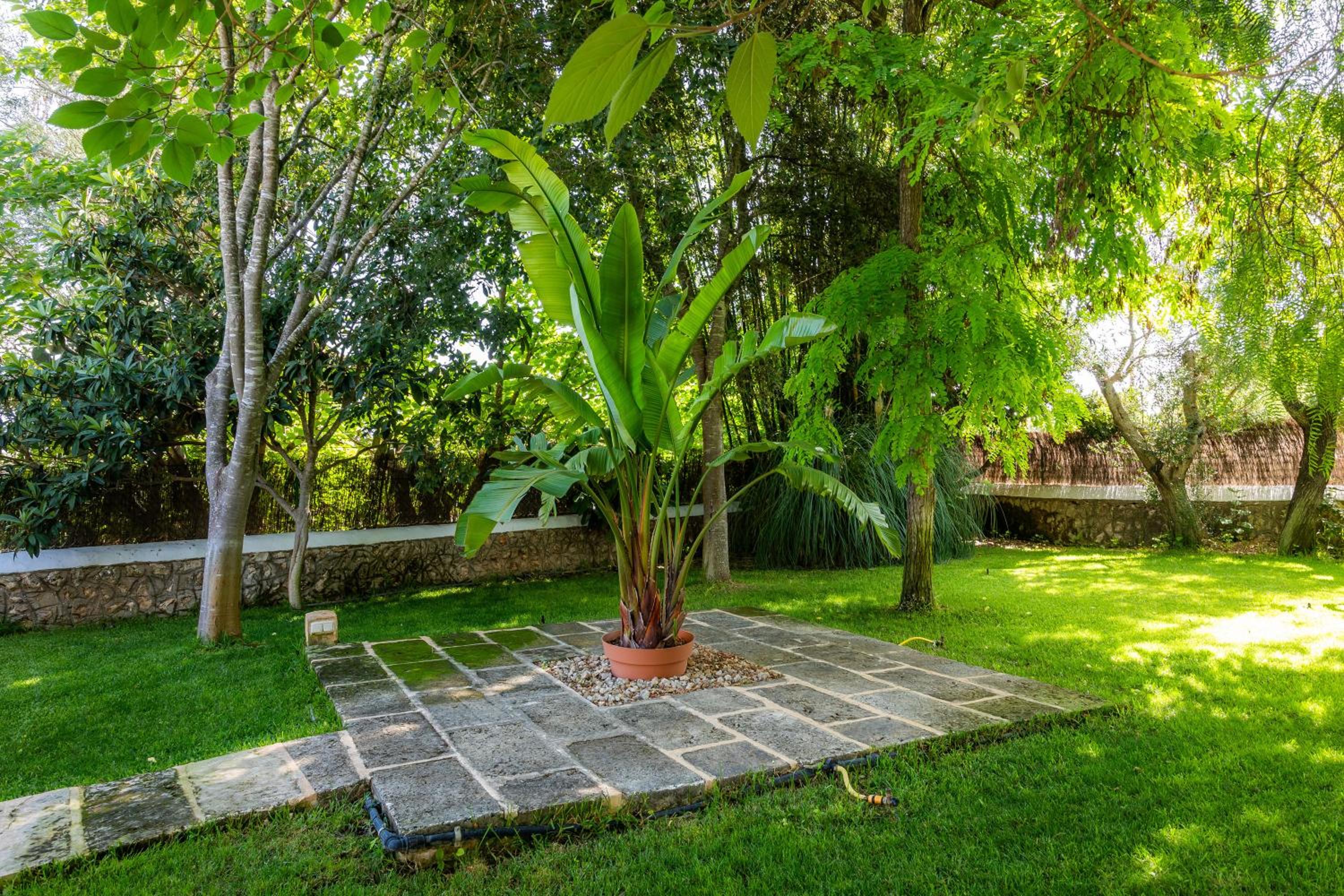 Villa photo 3