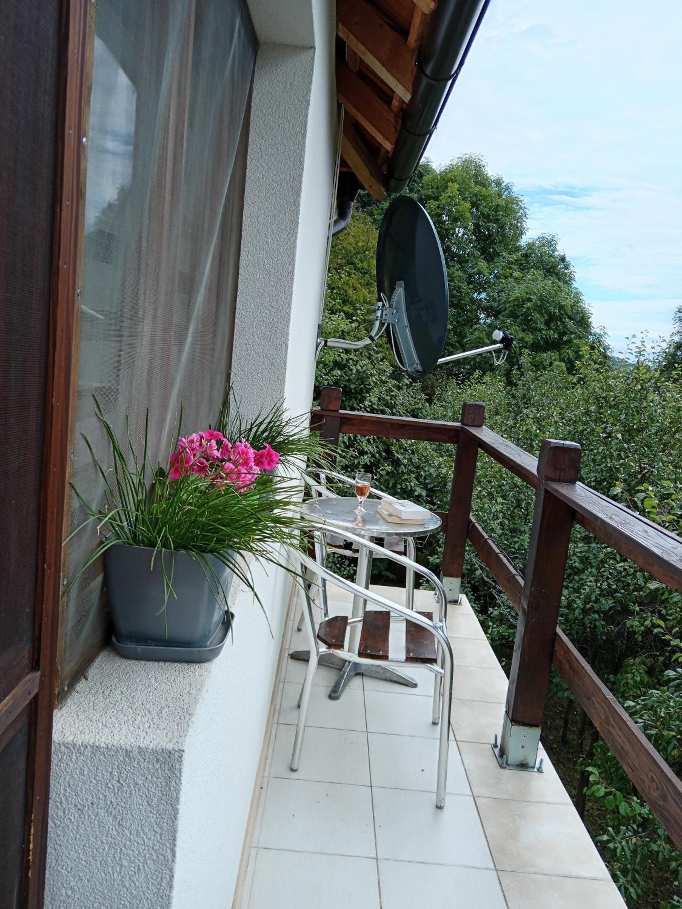 Double Room with Terrace photo 3