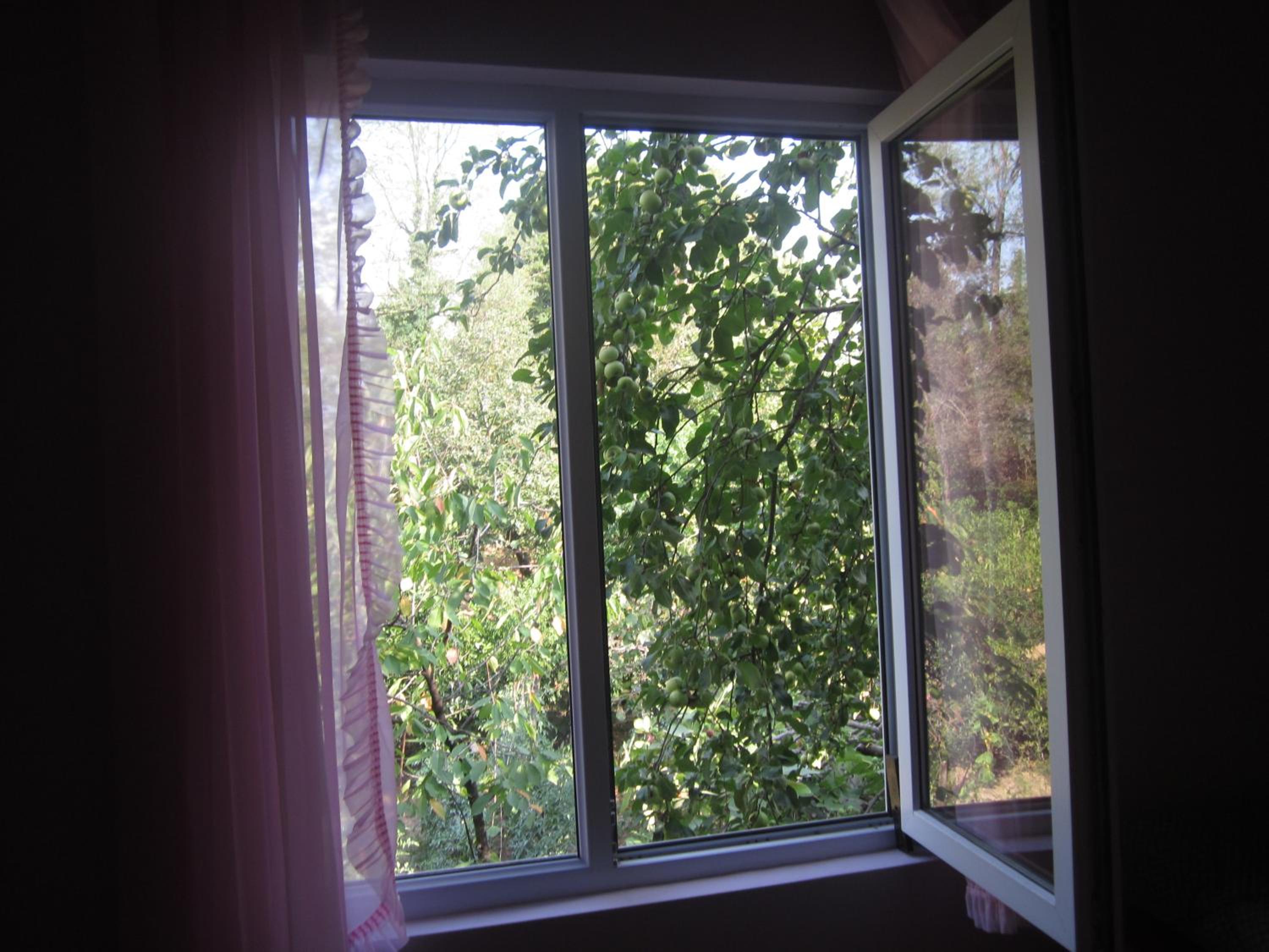 Deluxe Double Room with Shower photo 3