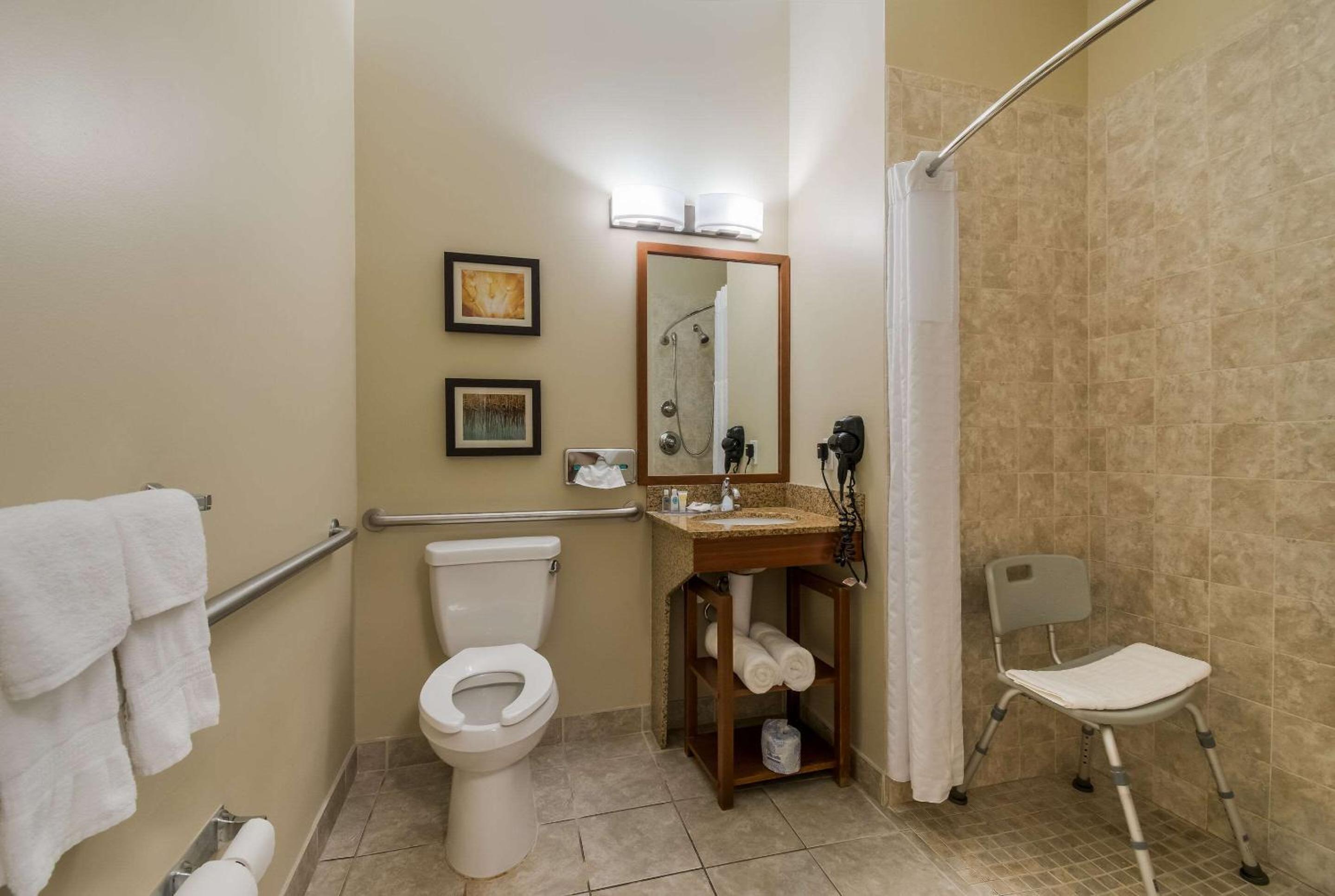 Standard Queen Room with Roll In Shower - Mobility Accessible/Non-Smoking photo 2