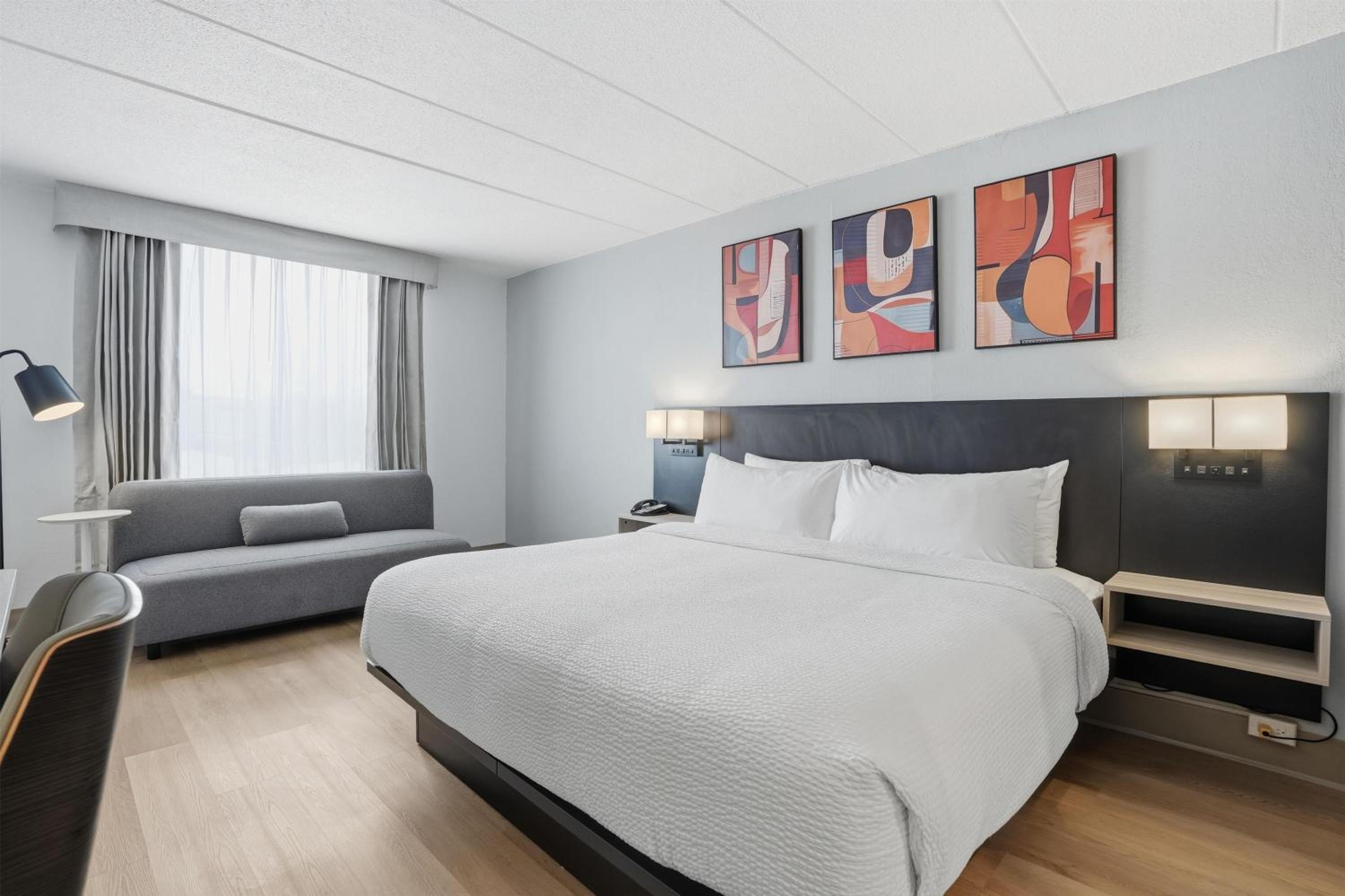 King Room - Non-Smoking/Pet-Friendly Room