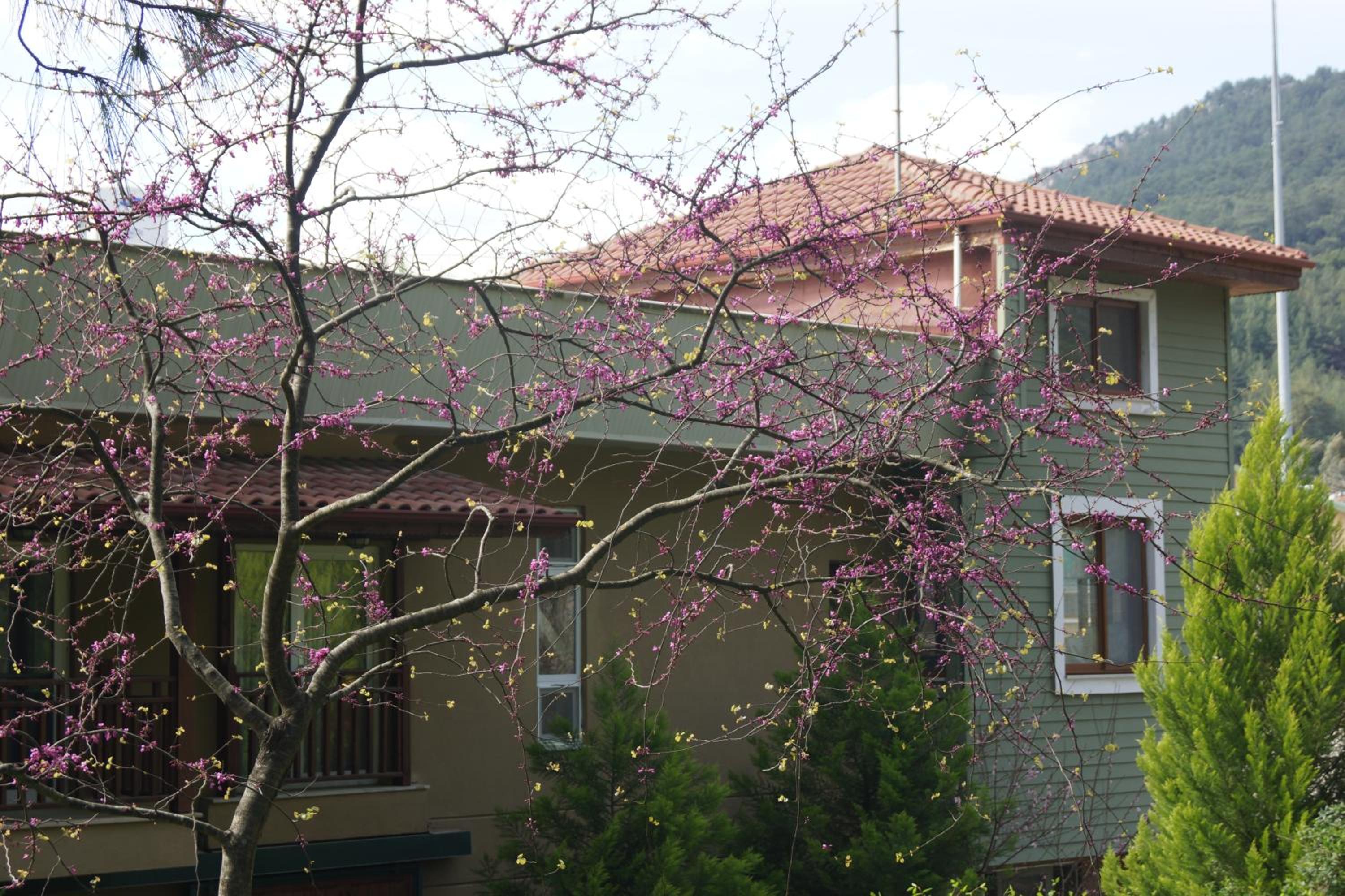 Duplex Suite - Photo 3