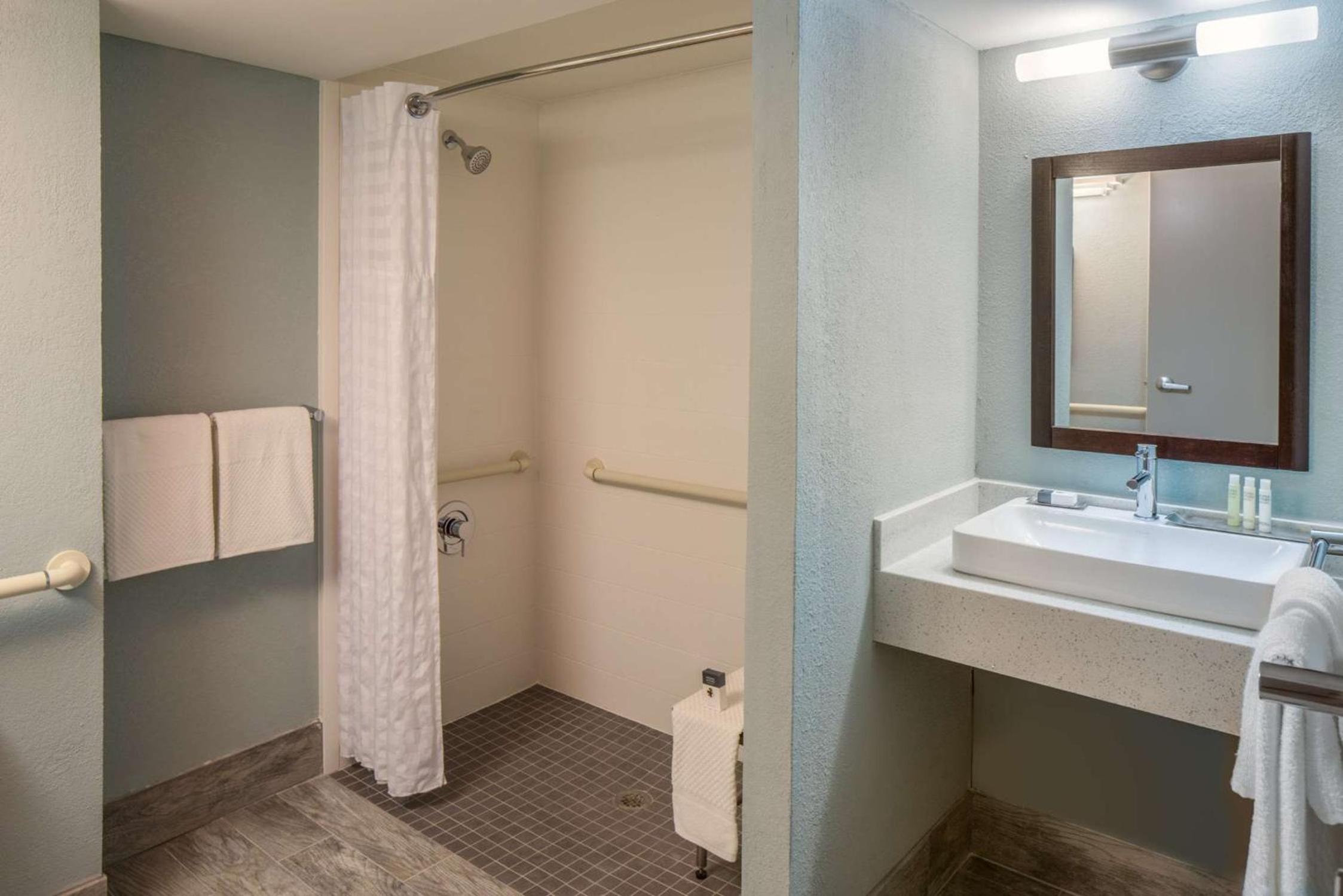 King Room with Roll-In Shower - Mobility Accessible - Photo 2