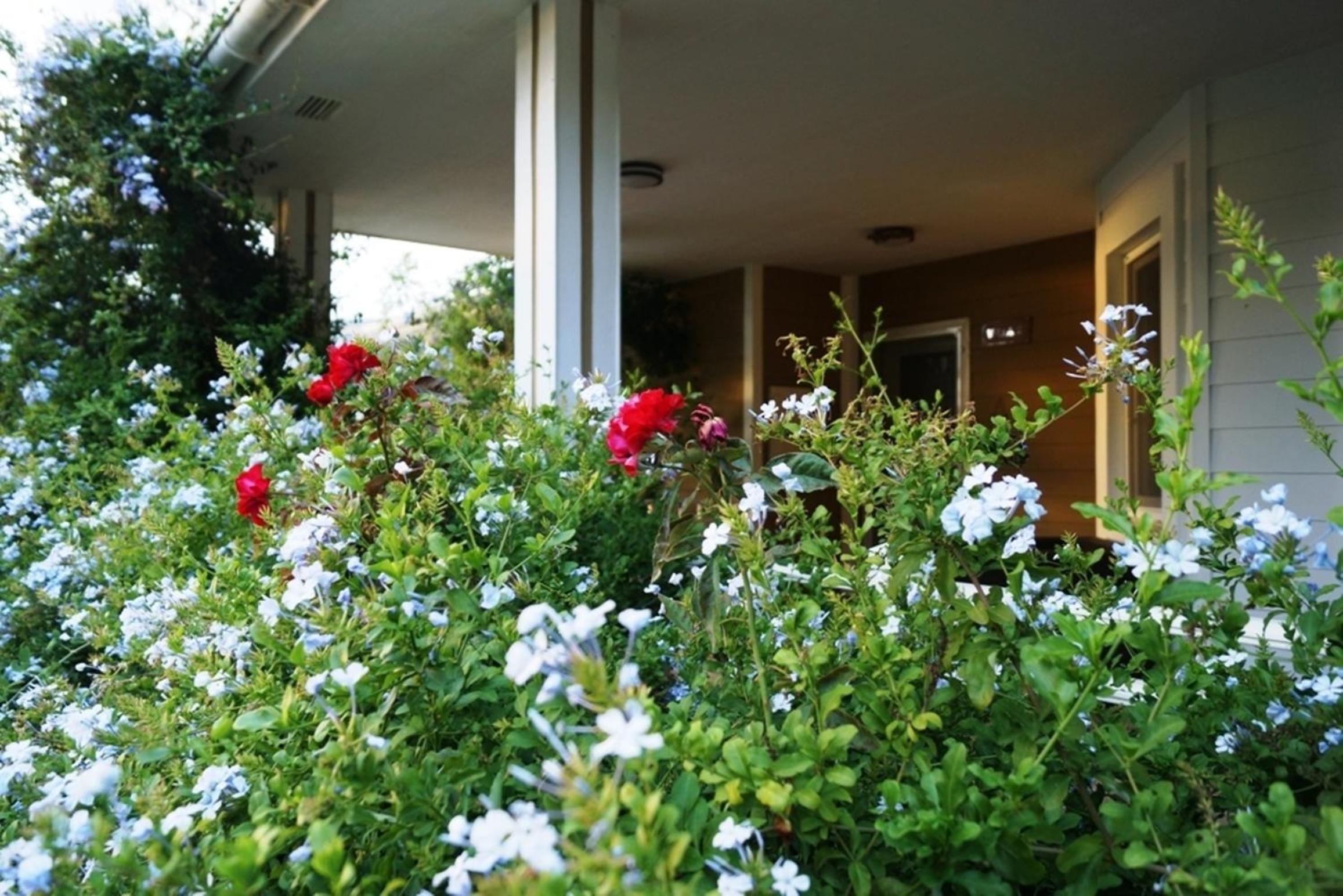 Villa - Photo 4
