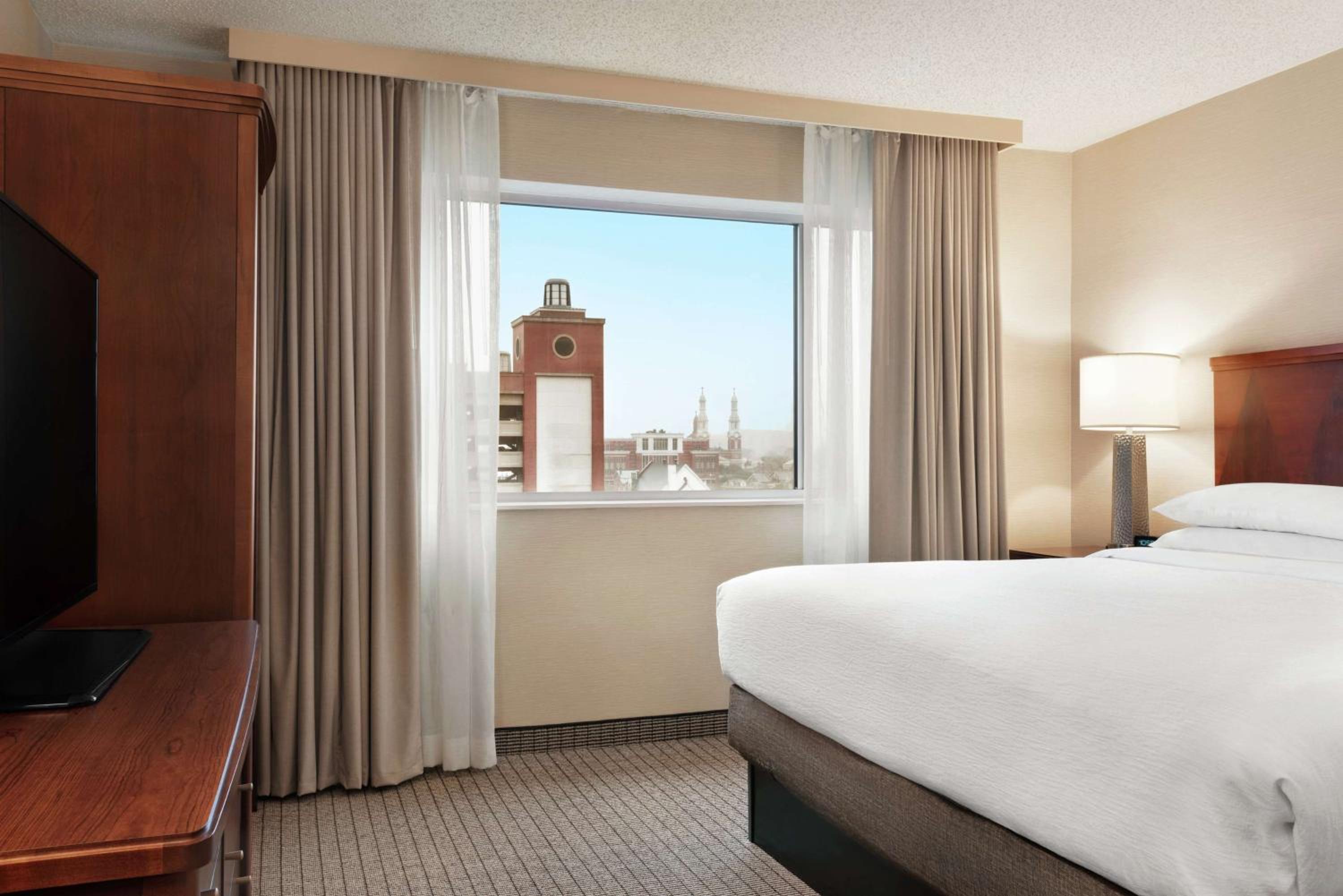 King Suite - Photo 4