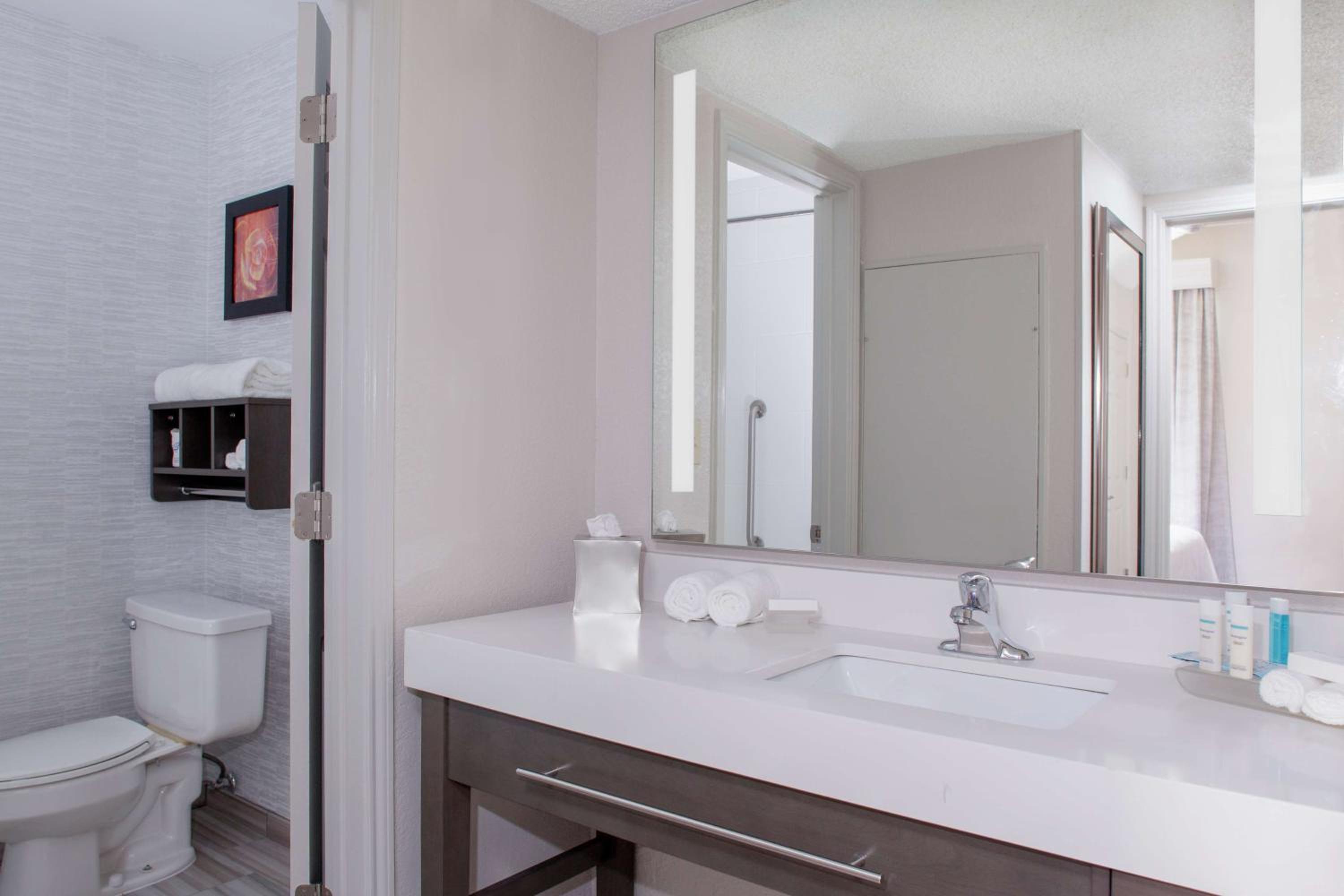 One-Bedroom King Suite - Non-Smoking photo 2