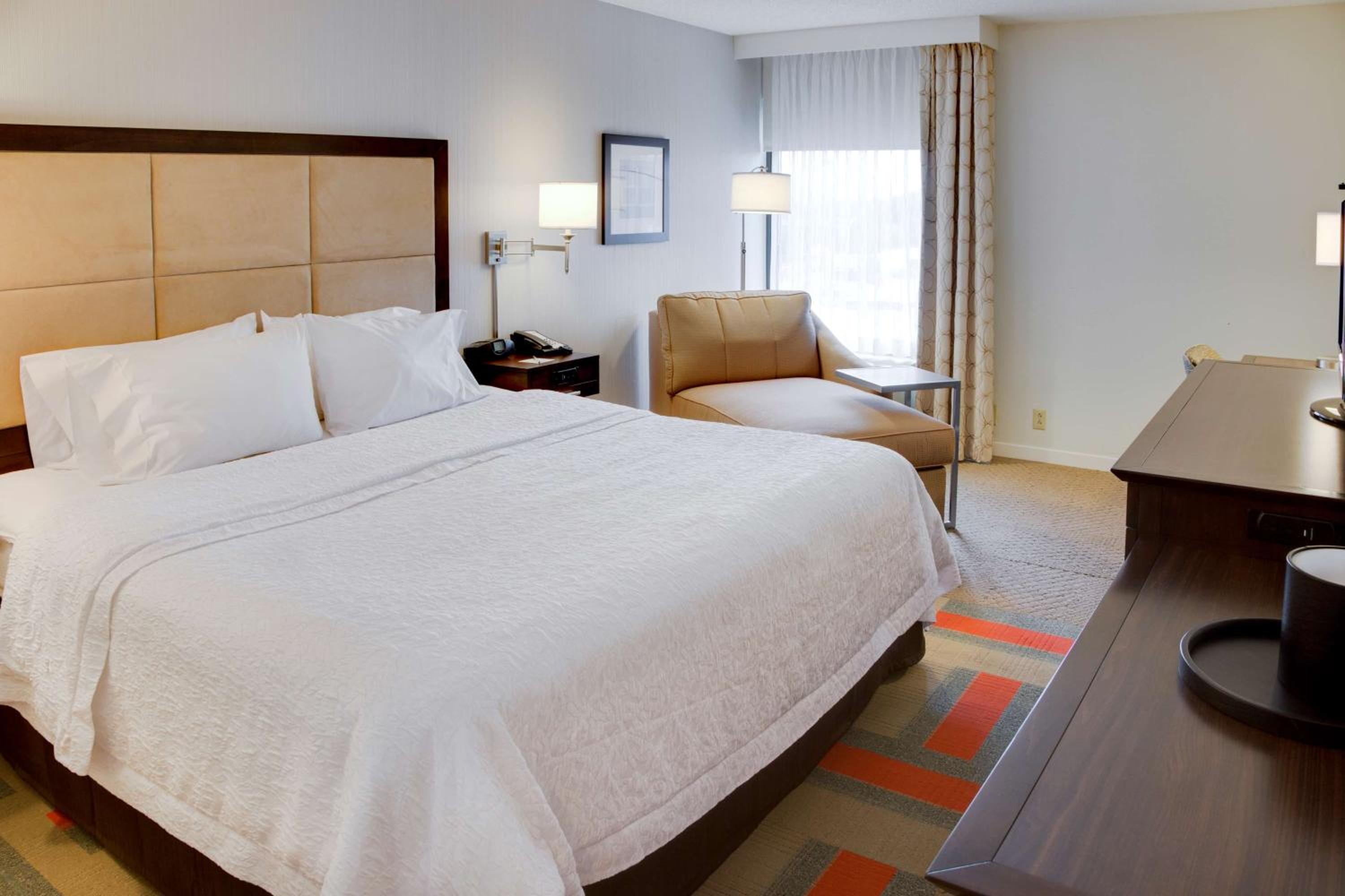 King Room - Photo 1
