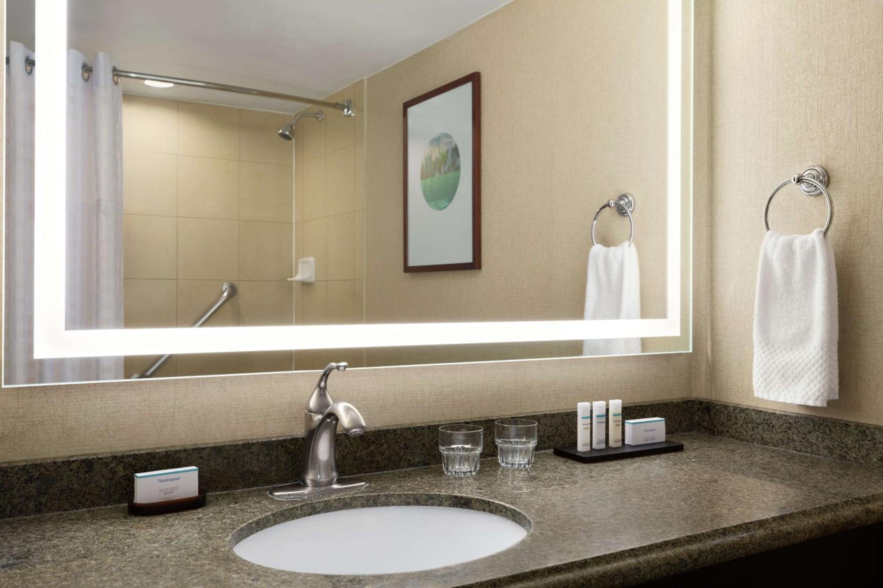 King Suite - Photo 5