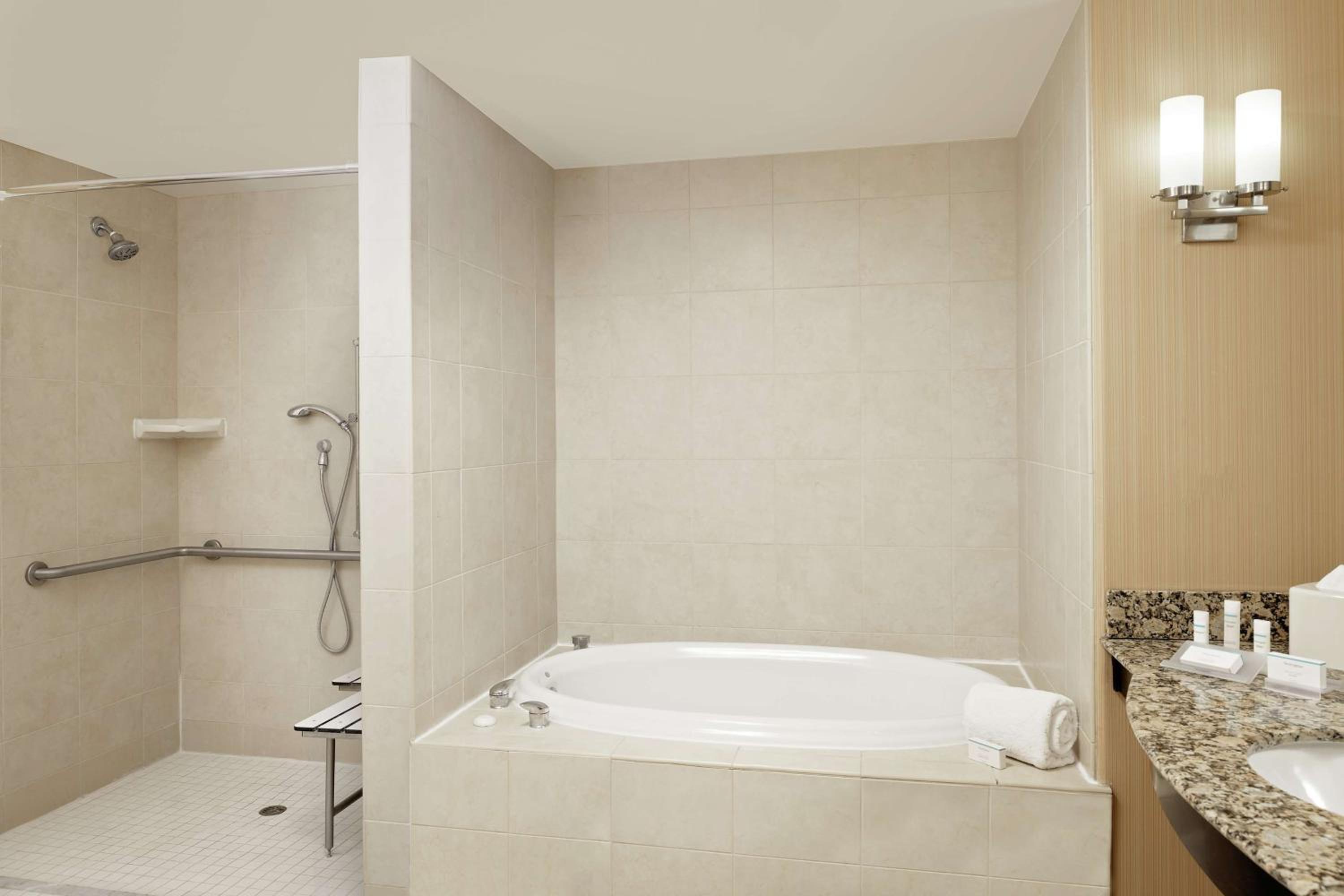 Deluxe King Suite with Roll-In Shower - Photo 2