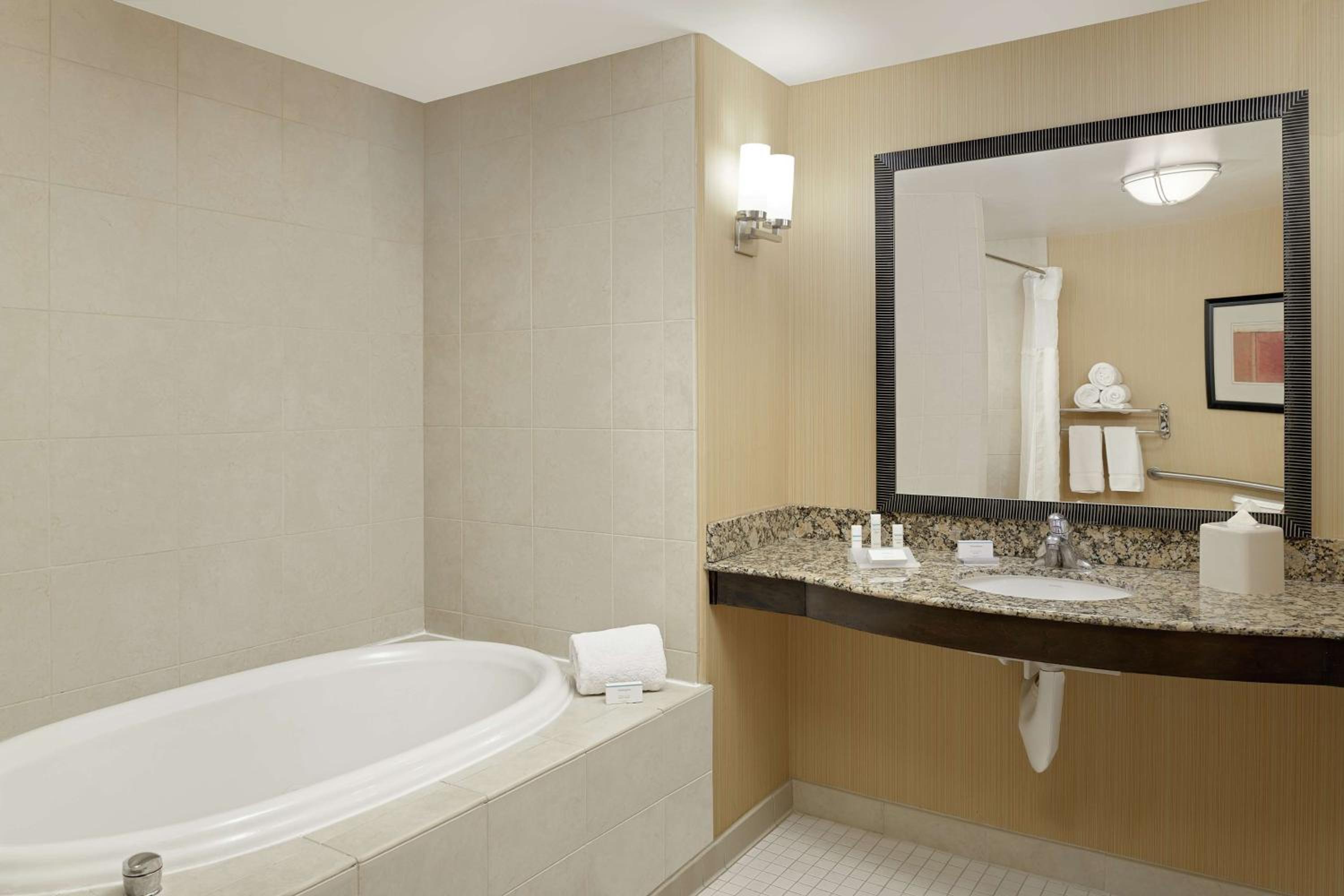 Deluxe King Suite with Roll-In Shower - Photo 3