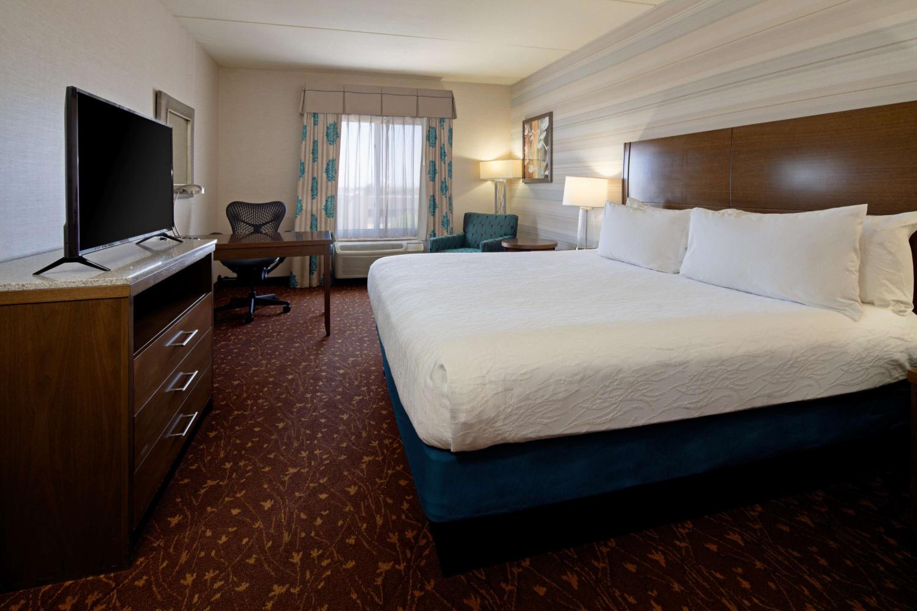 King Room photo 3