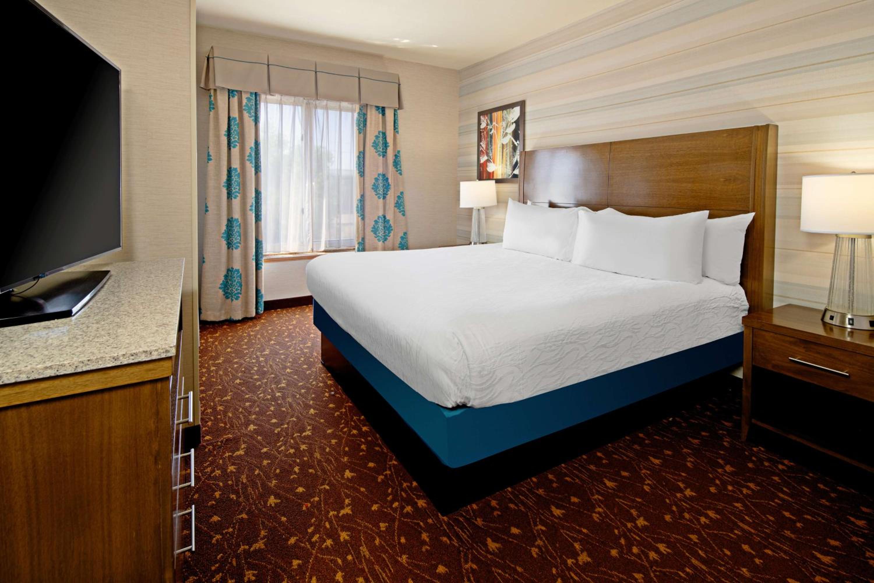 Junior King Suite with Sofa Bed photo 1