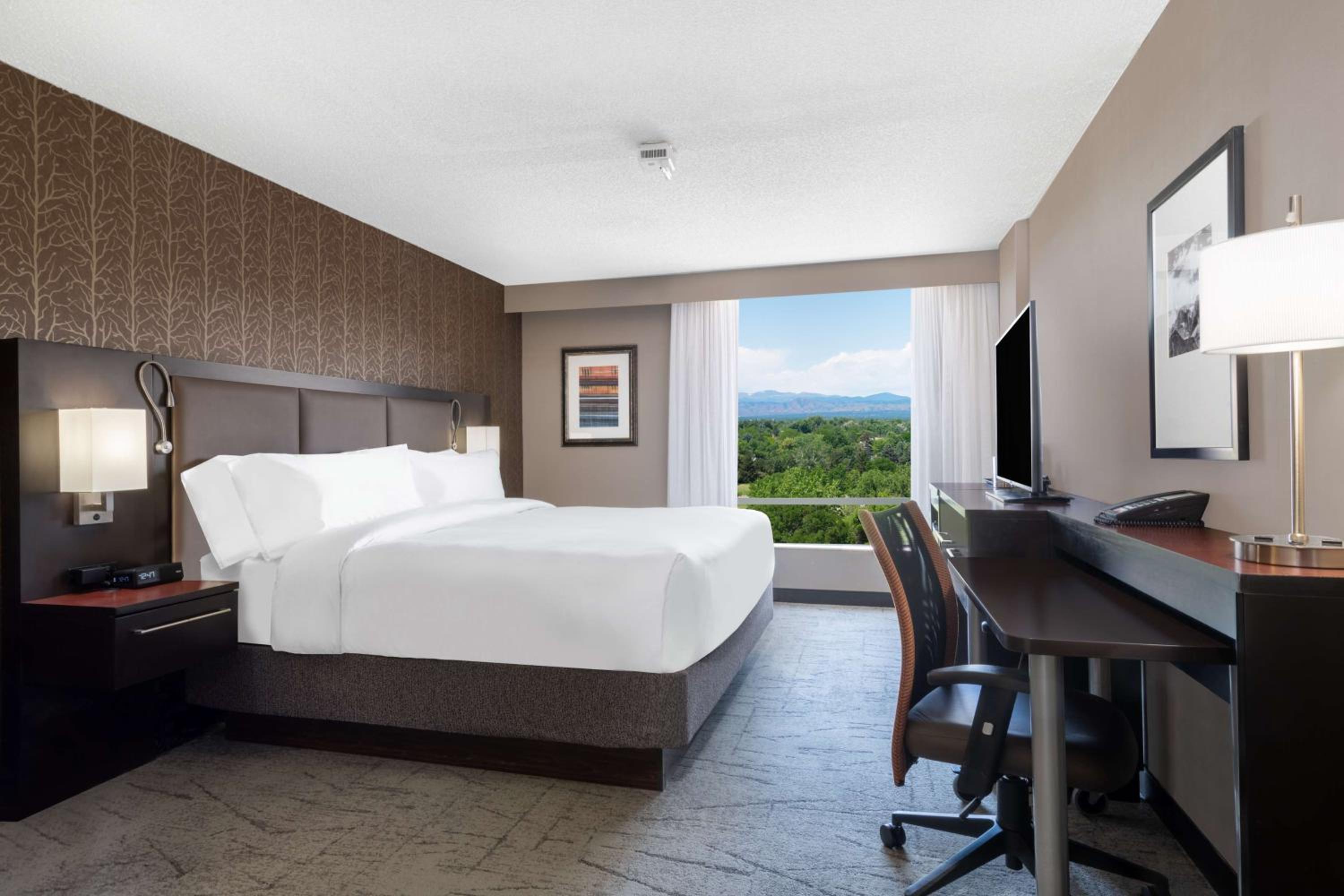 King Room with Mountain View - Hearing Accessible photo 2