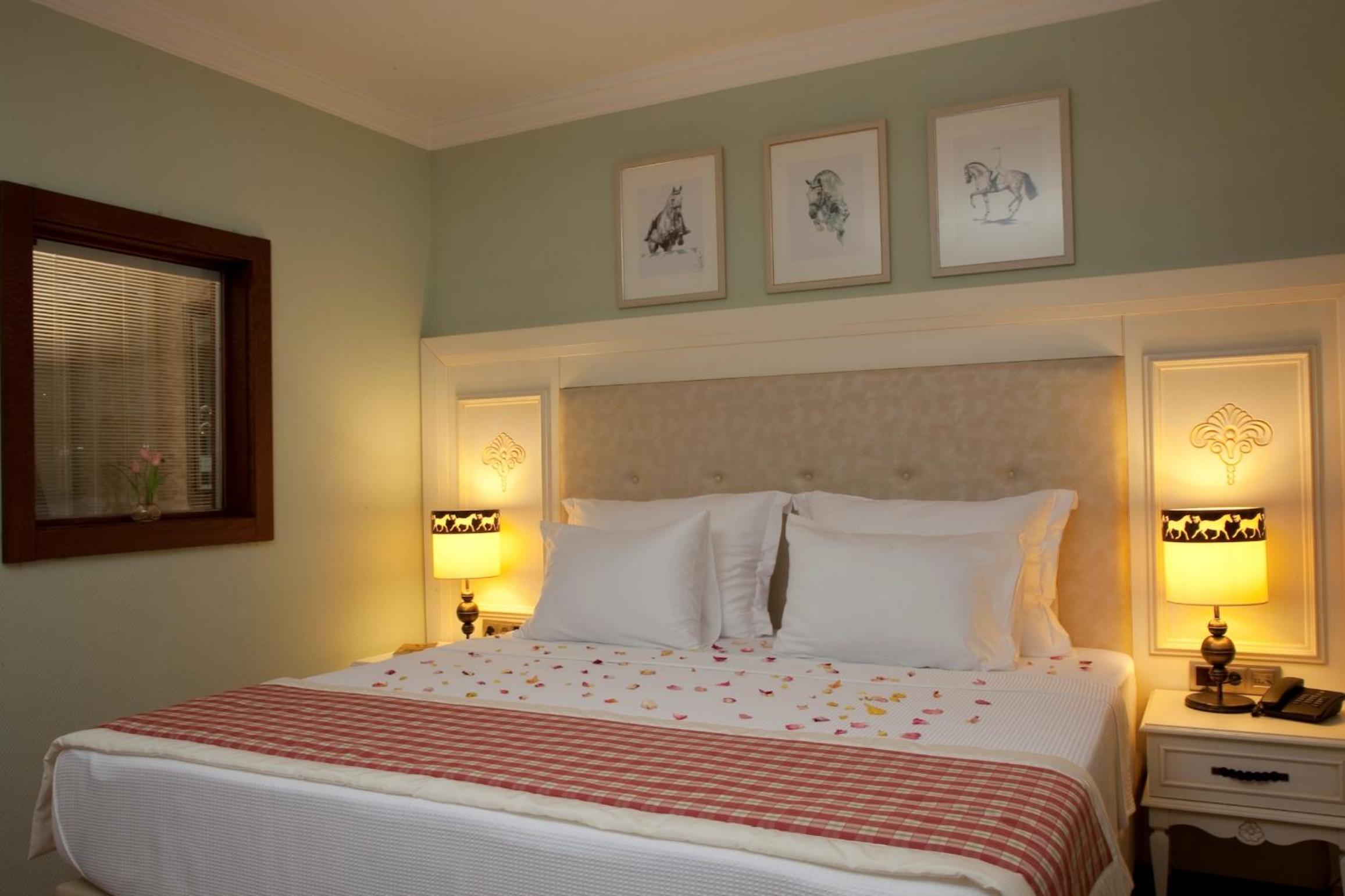 Duplex Suite - Photo 1